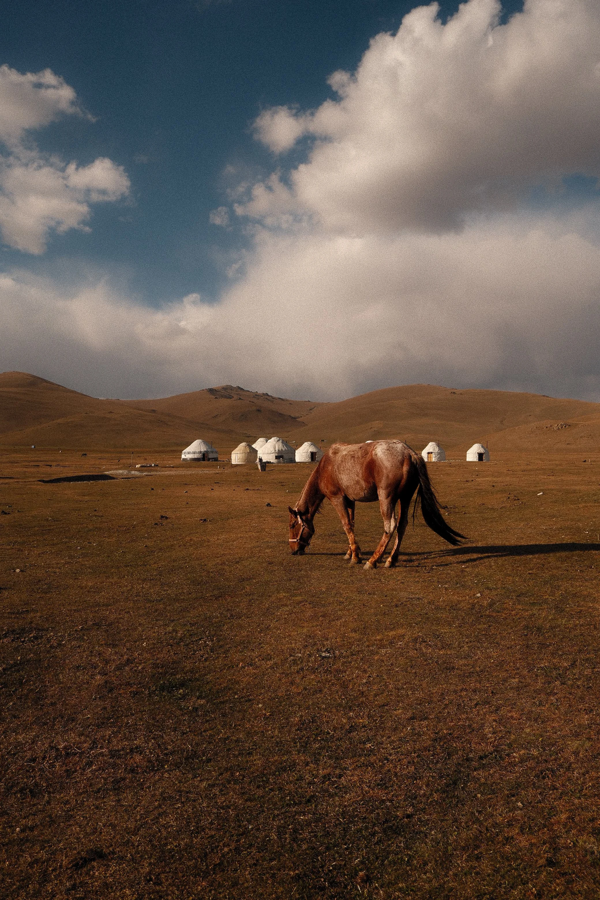 Kyrgyz 5.jpg