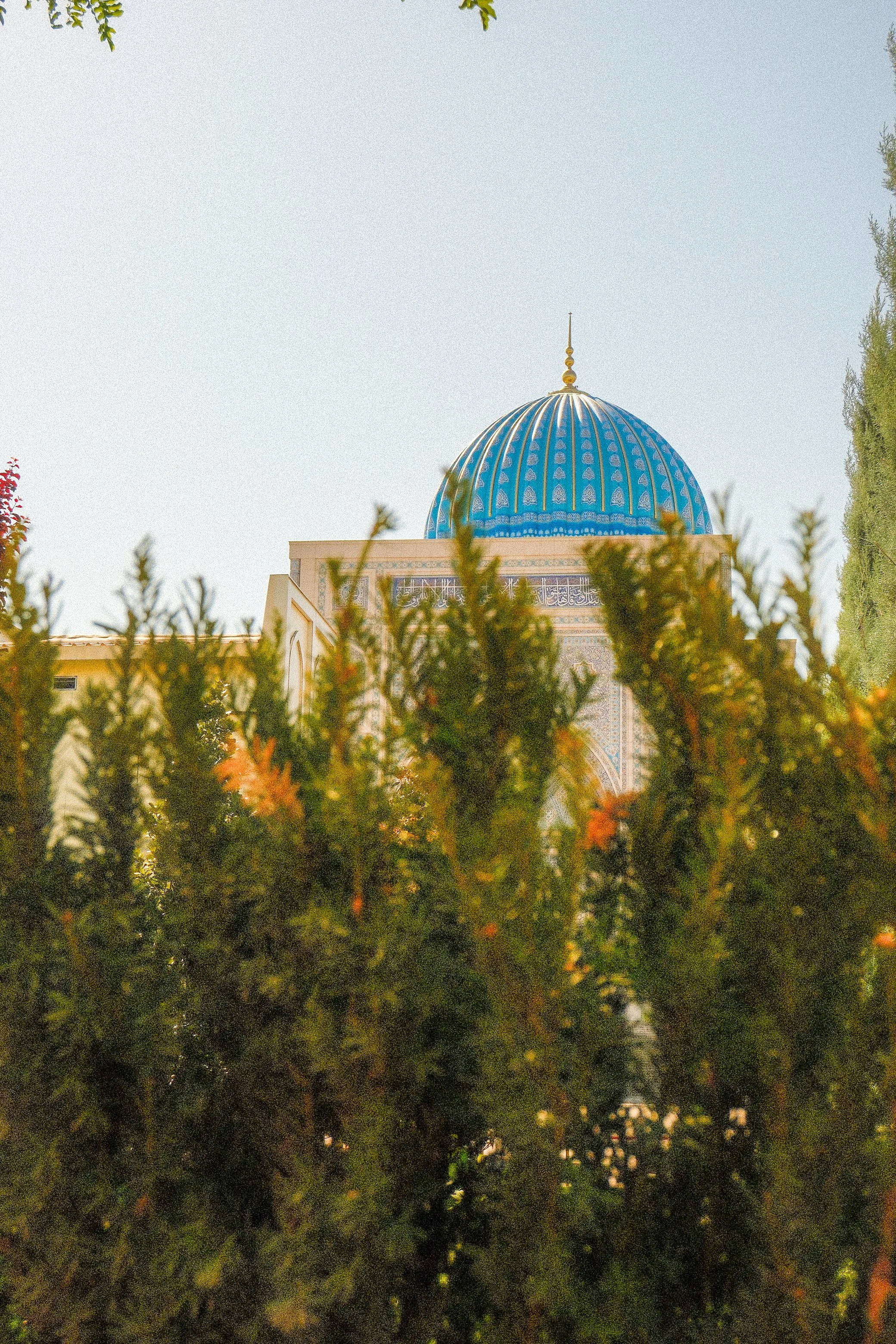 Tashkent Fuji 9.jpg