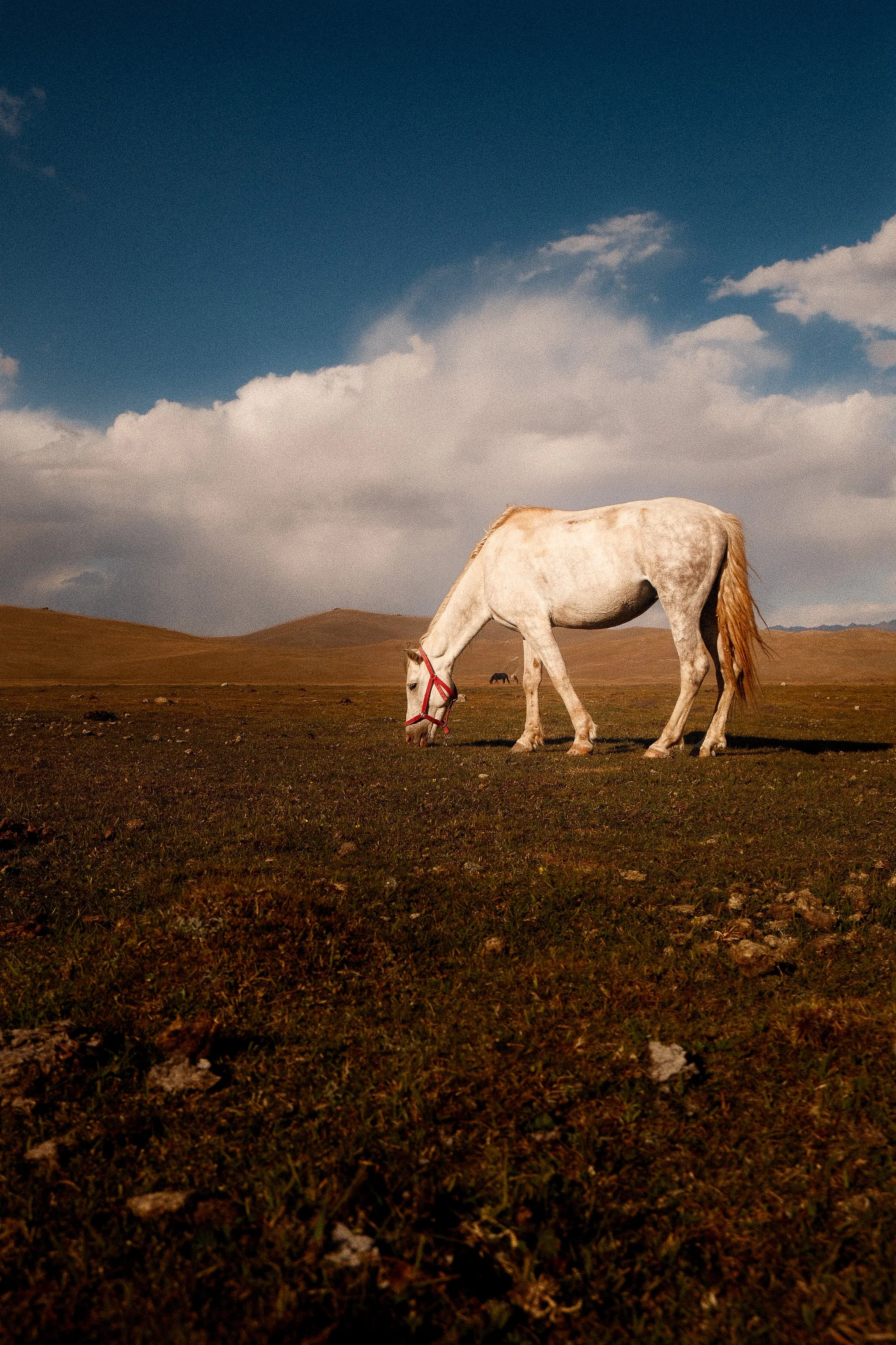 Kyrgyz 3-2.jpg