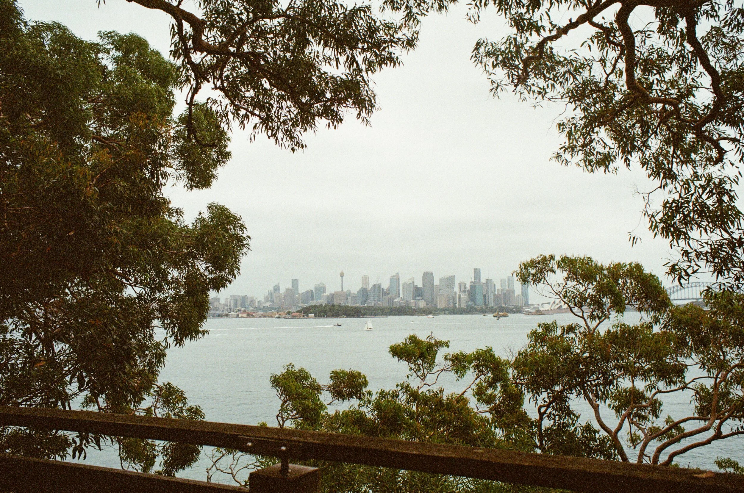 Sydney Skyline - Nikon FE2