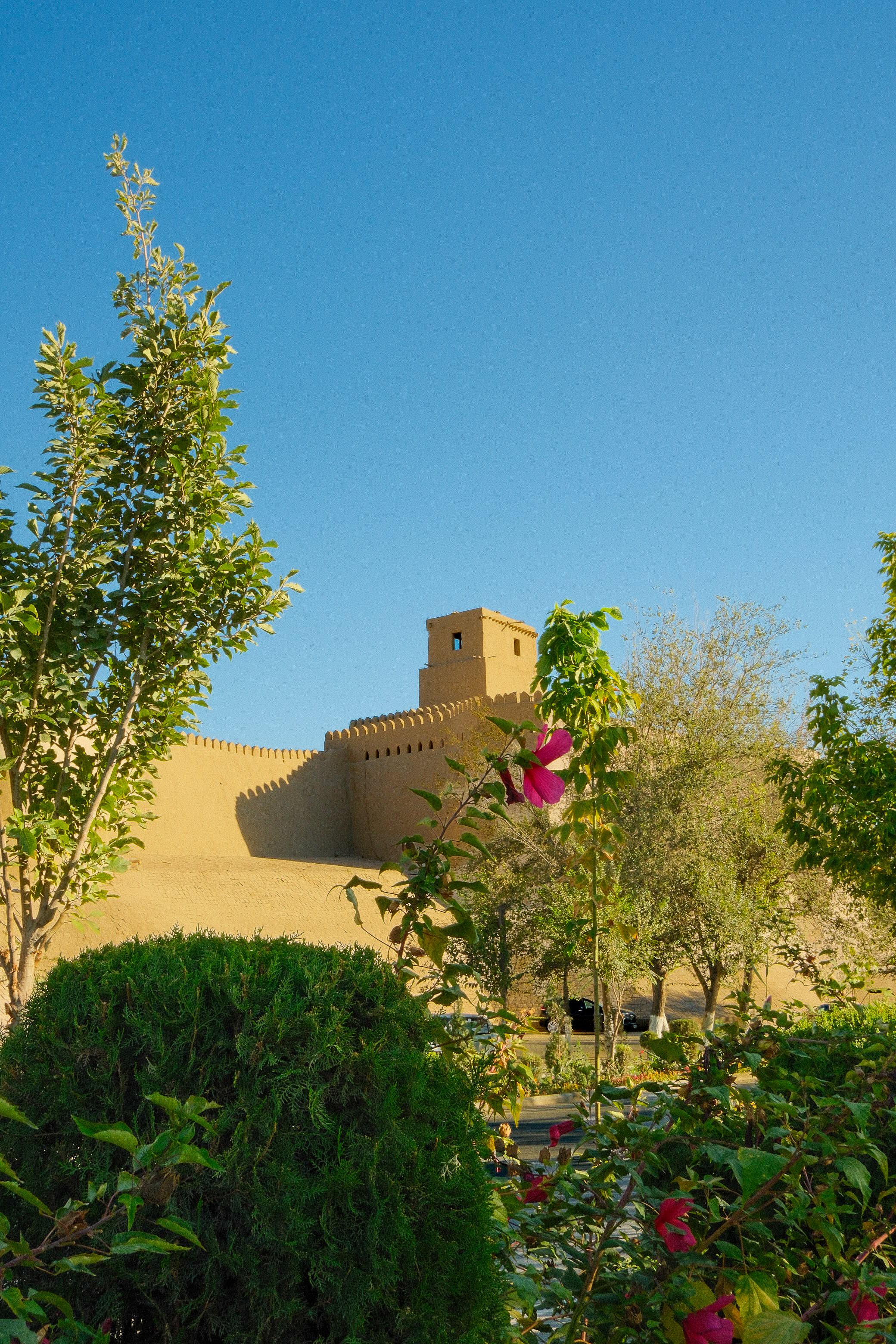 Khiva Fuji 1.jpg