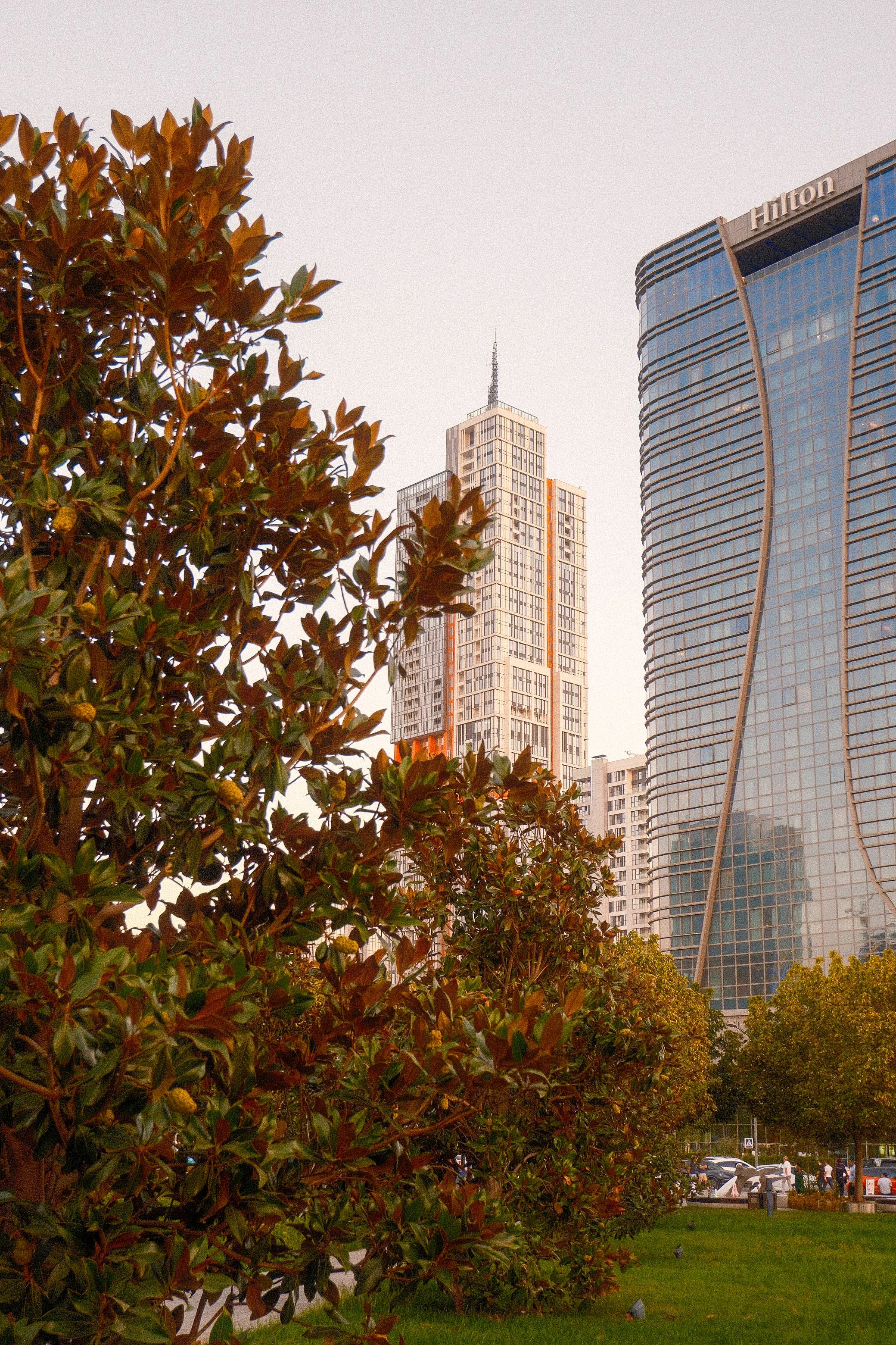 Tashkent Fuji 10.jpg