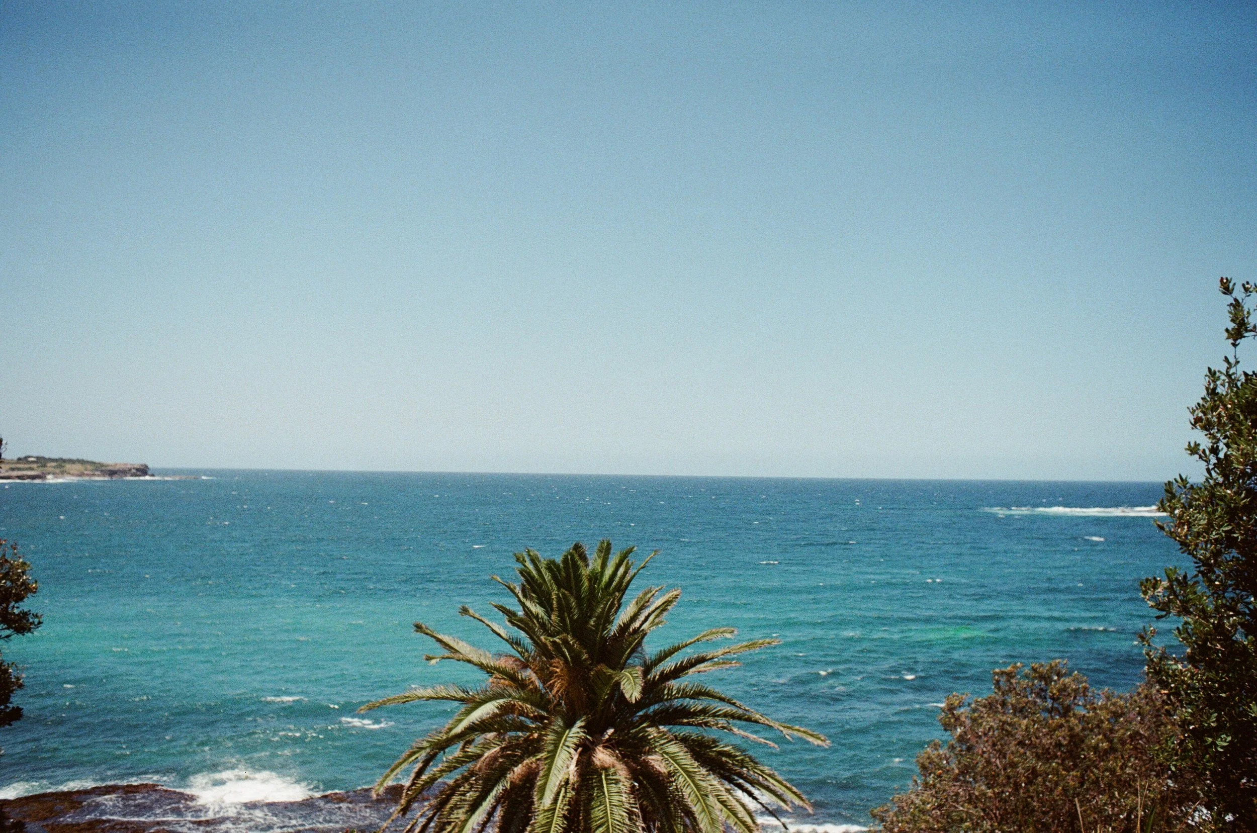 Coogee Walk - Nikon FE2