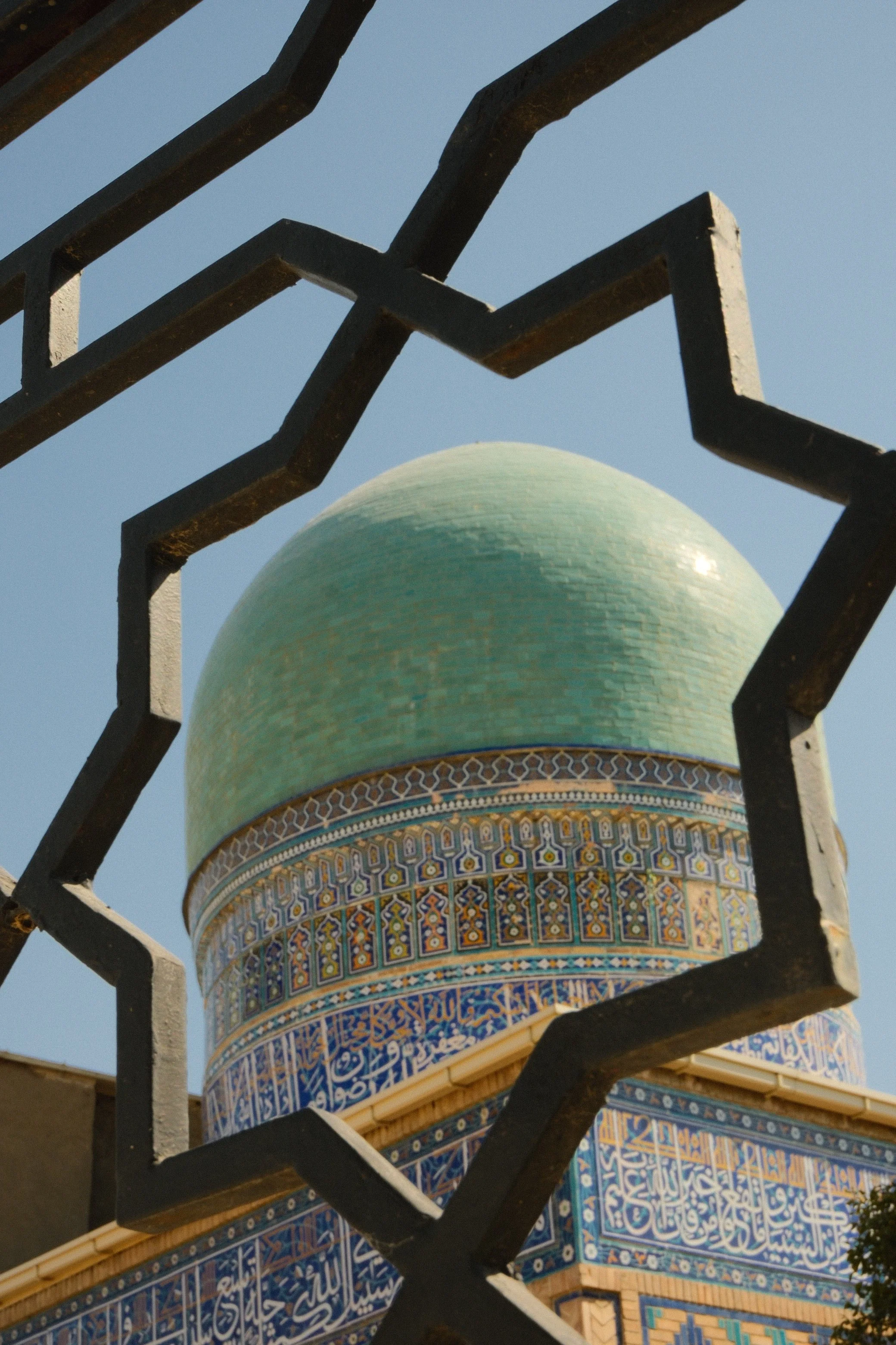 DSCF1010.JPG