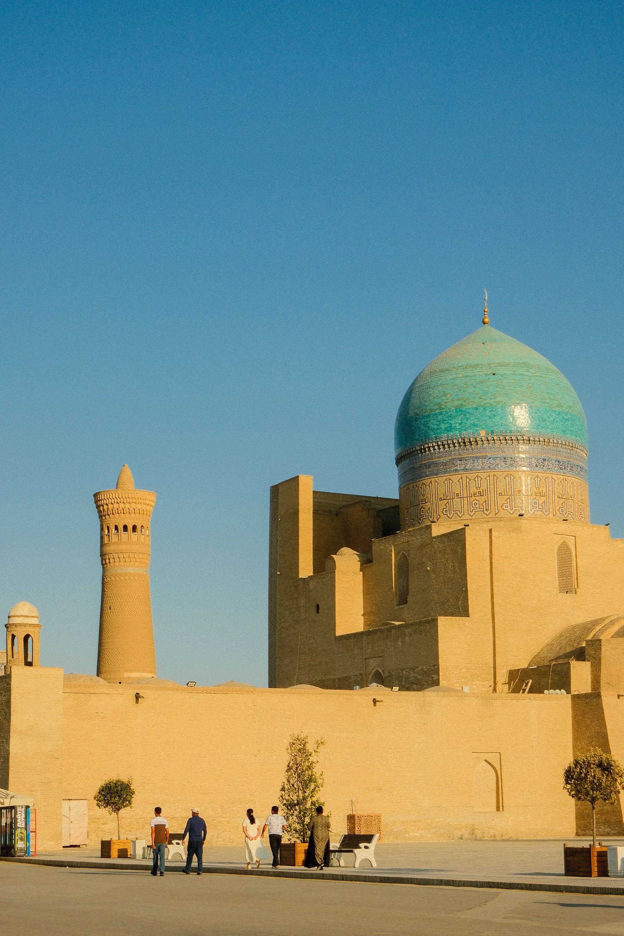 Bukhara Fuji 9.jpg