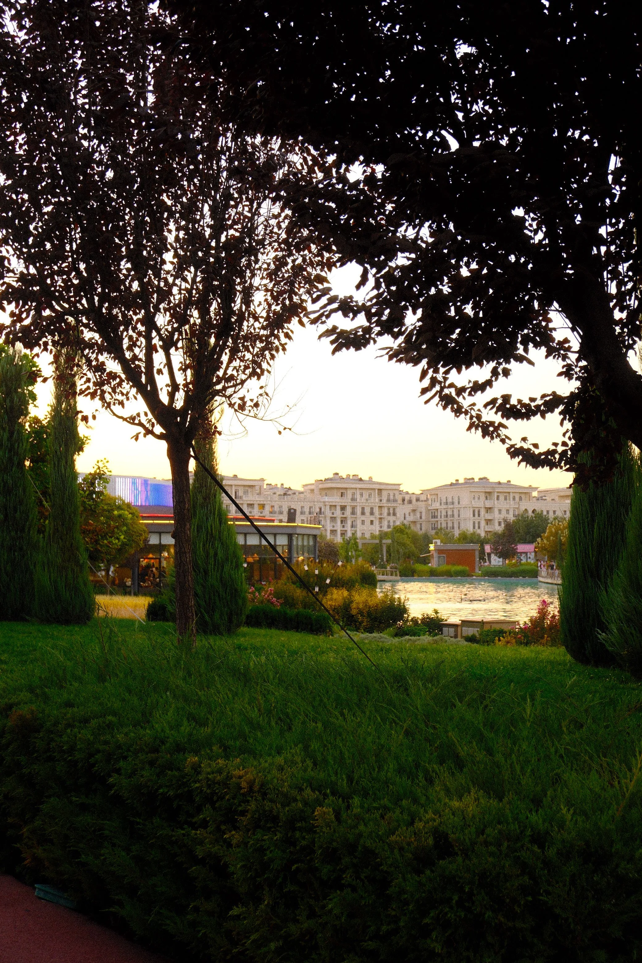 DSCF0640 2.JPG