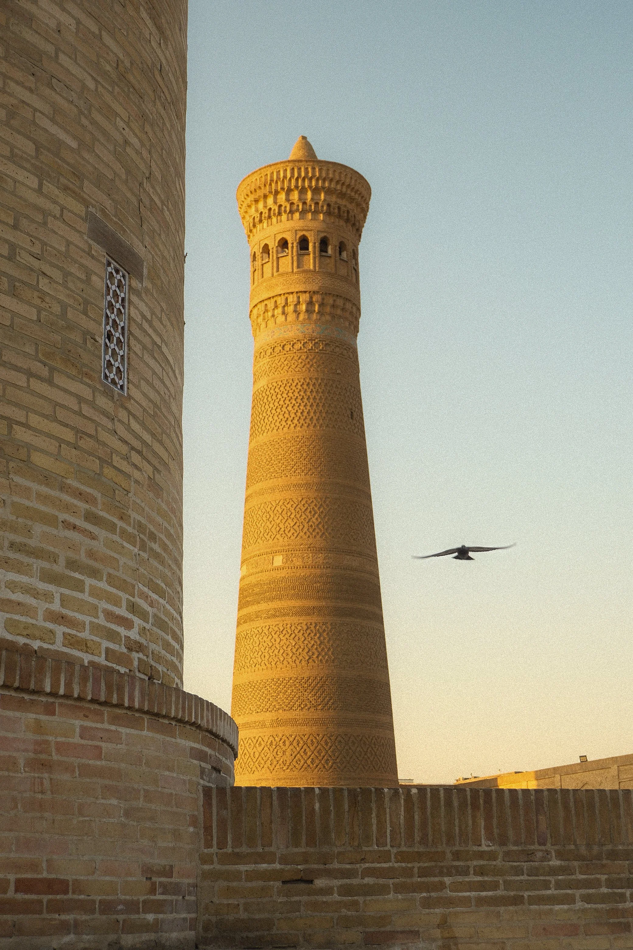Bukhara Fuji 8.jpg