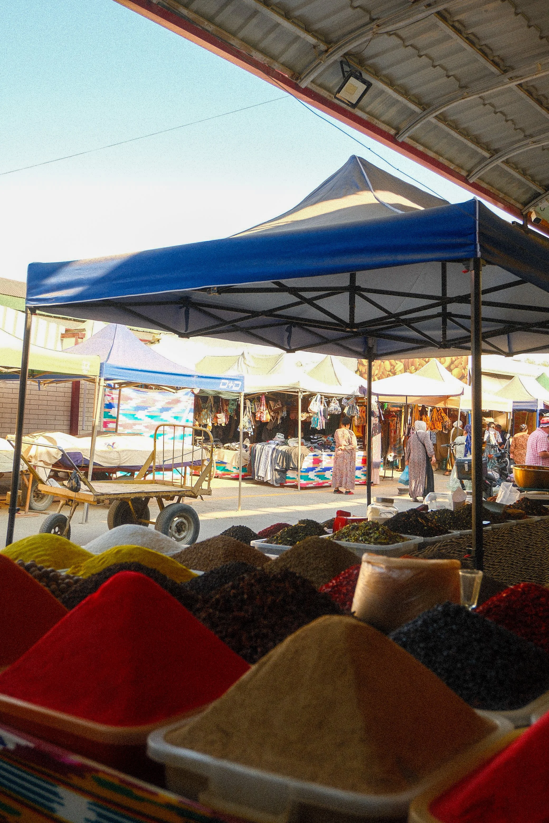 Bukhara Fuji 10.jpg