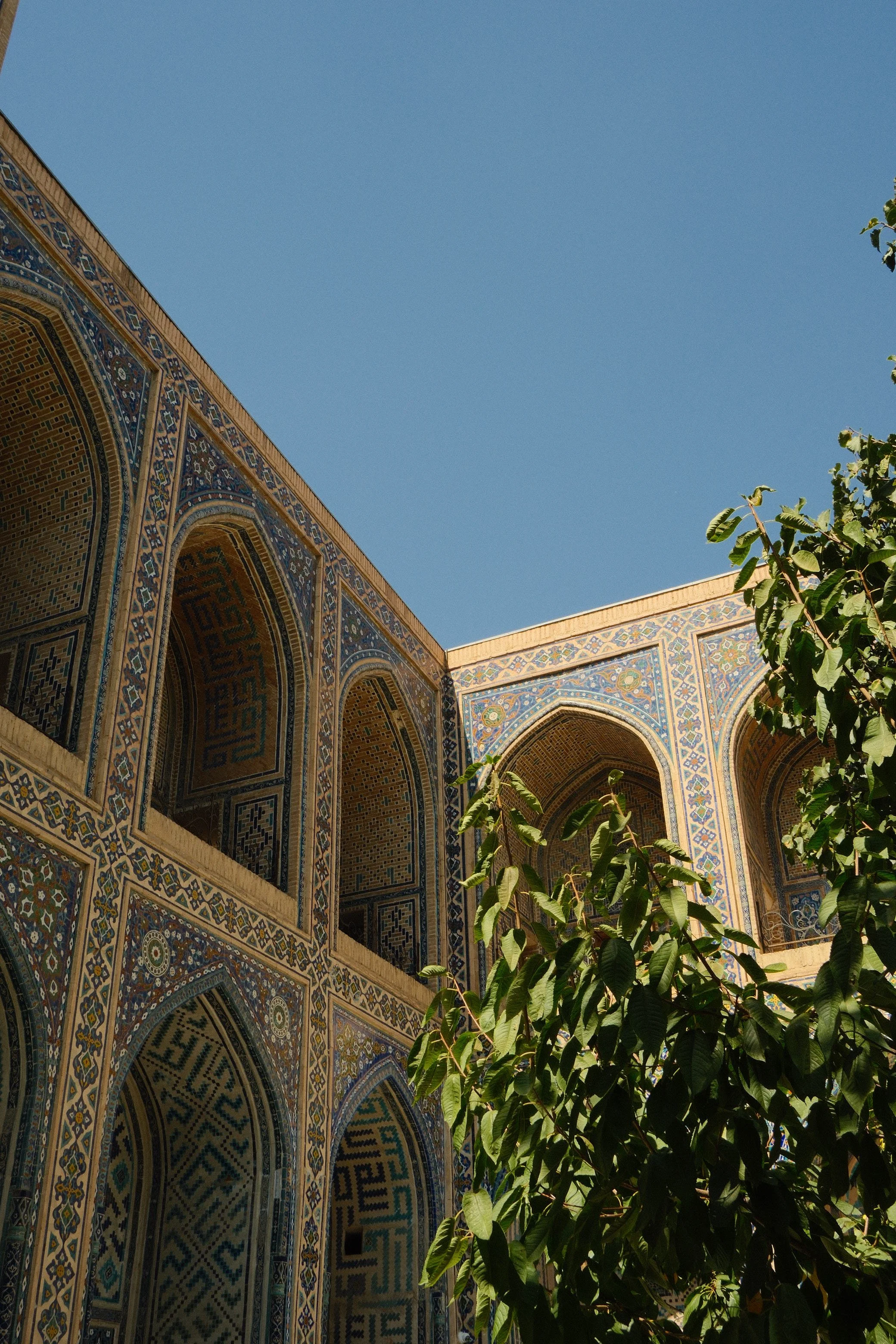 DSCF0915.JPG