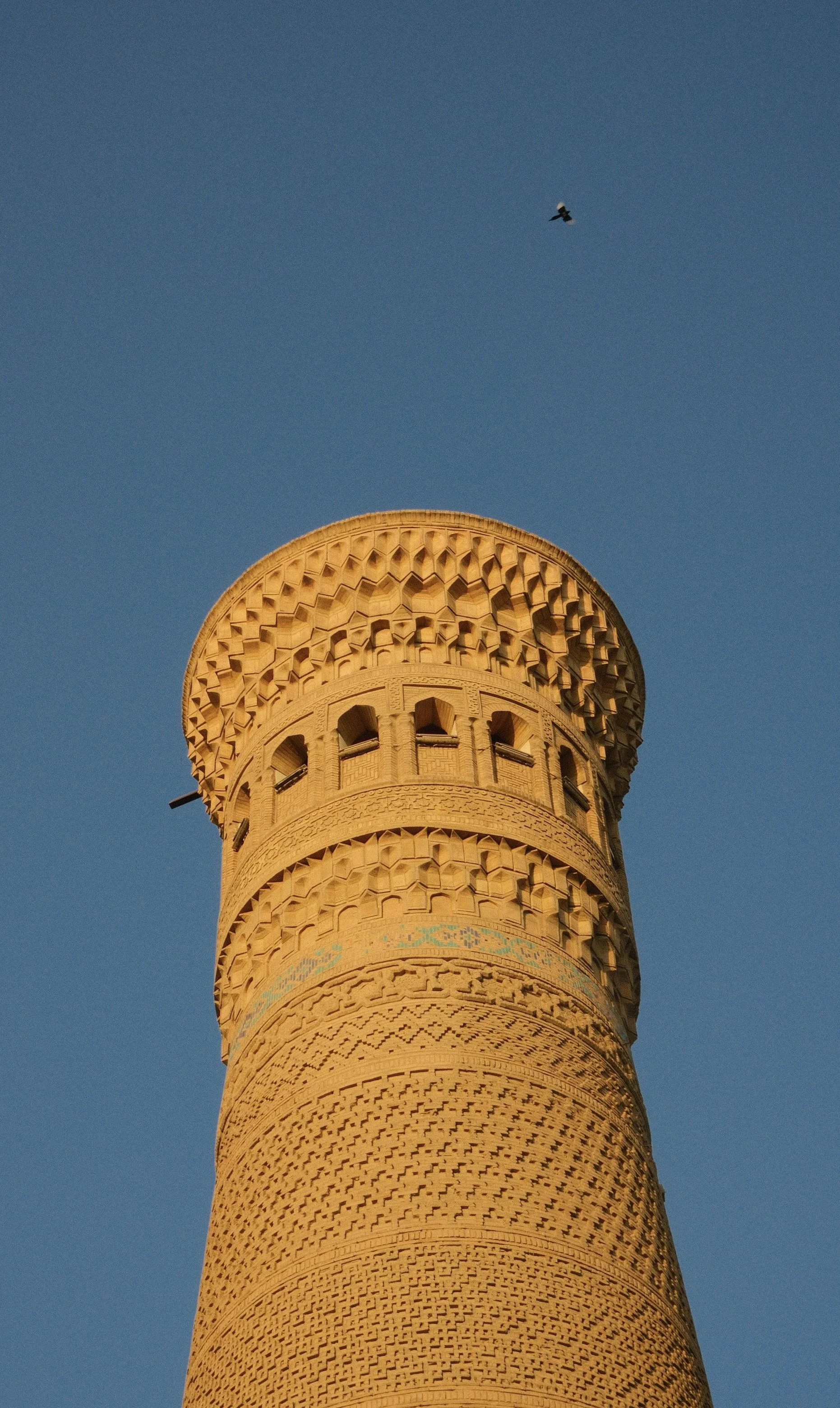 DSCF1242.jpg