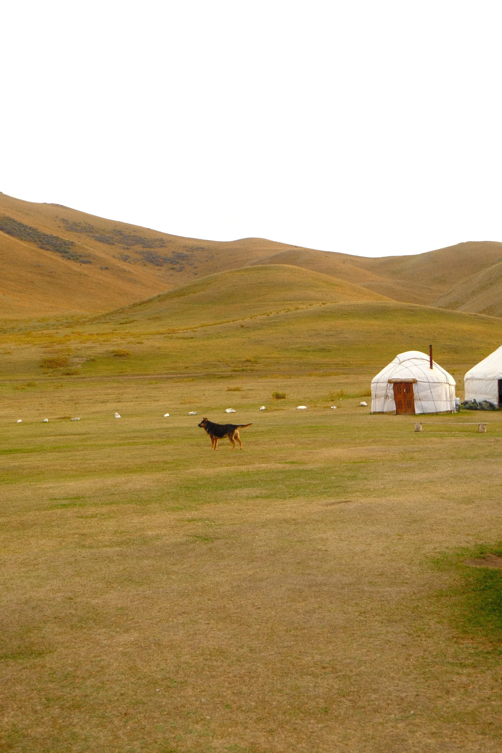 DSCF1577.JPG