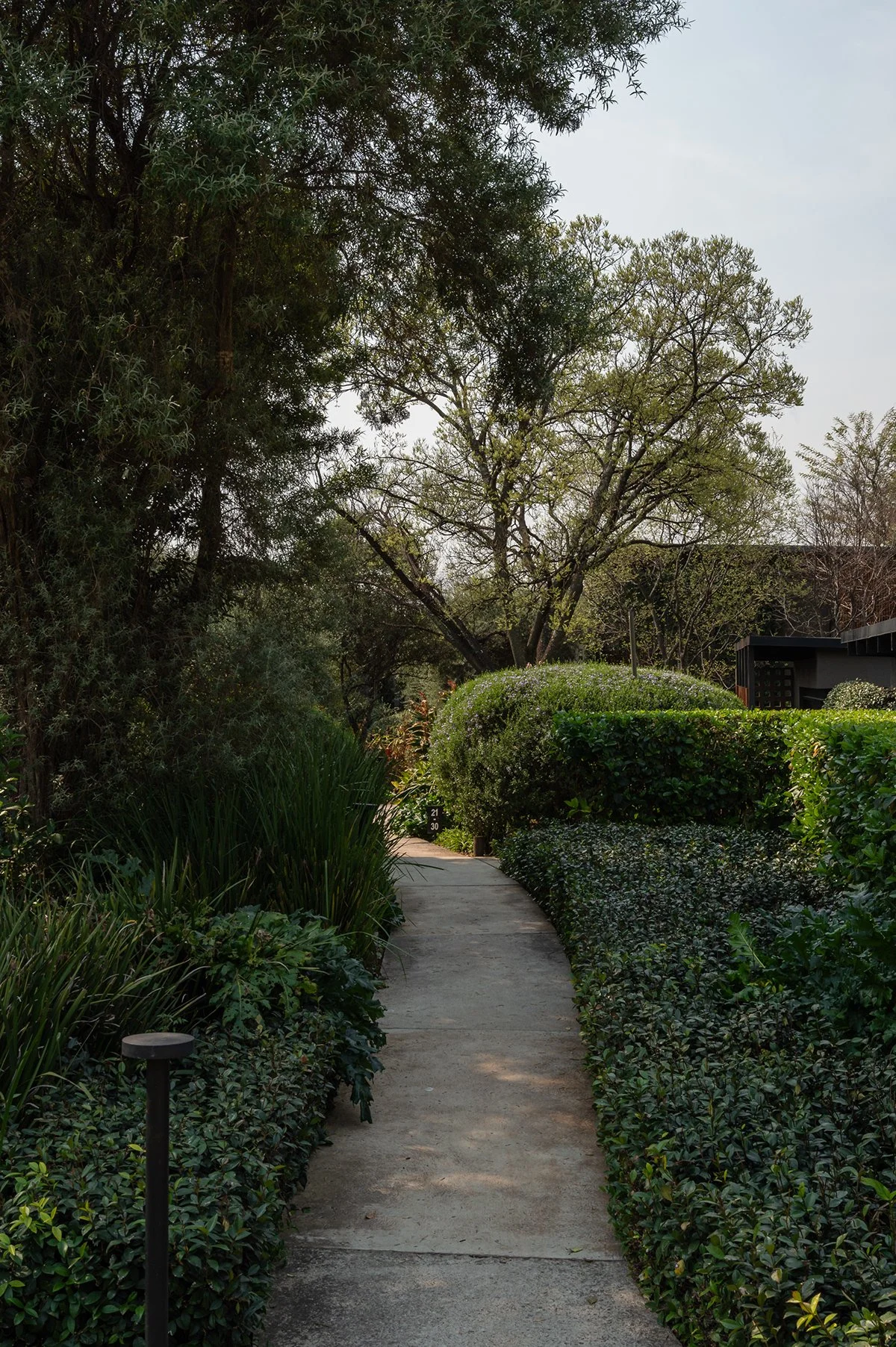 garden-pathway-hedges-lodge-entrance.jpg