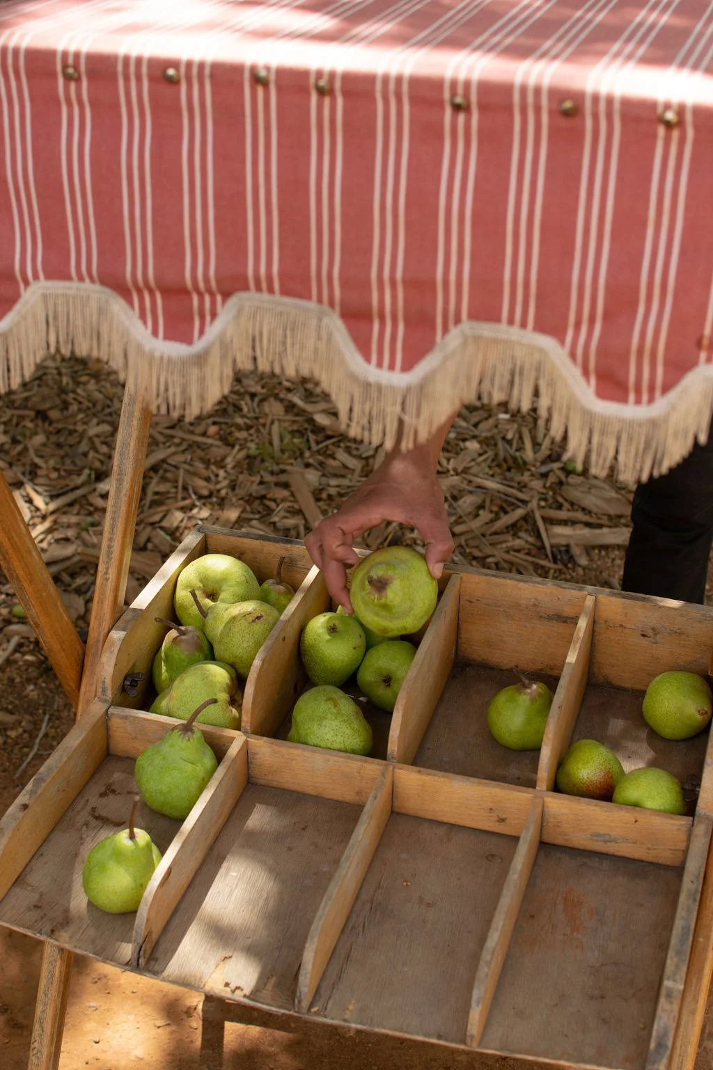 hand-picking-pears-market-stall-crate.jpg