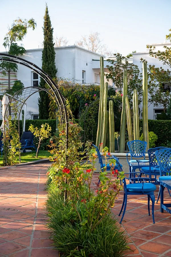 garden-courtyard-cactus-fountain-blue-chairs.jpg