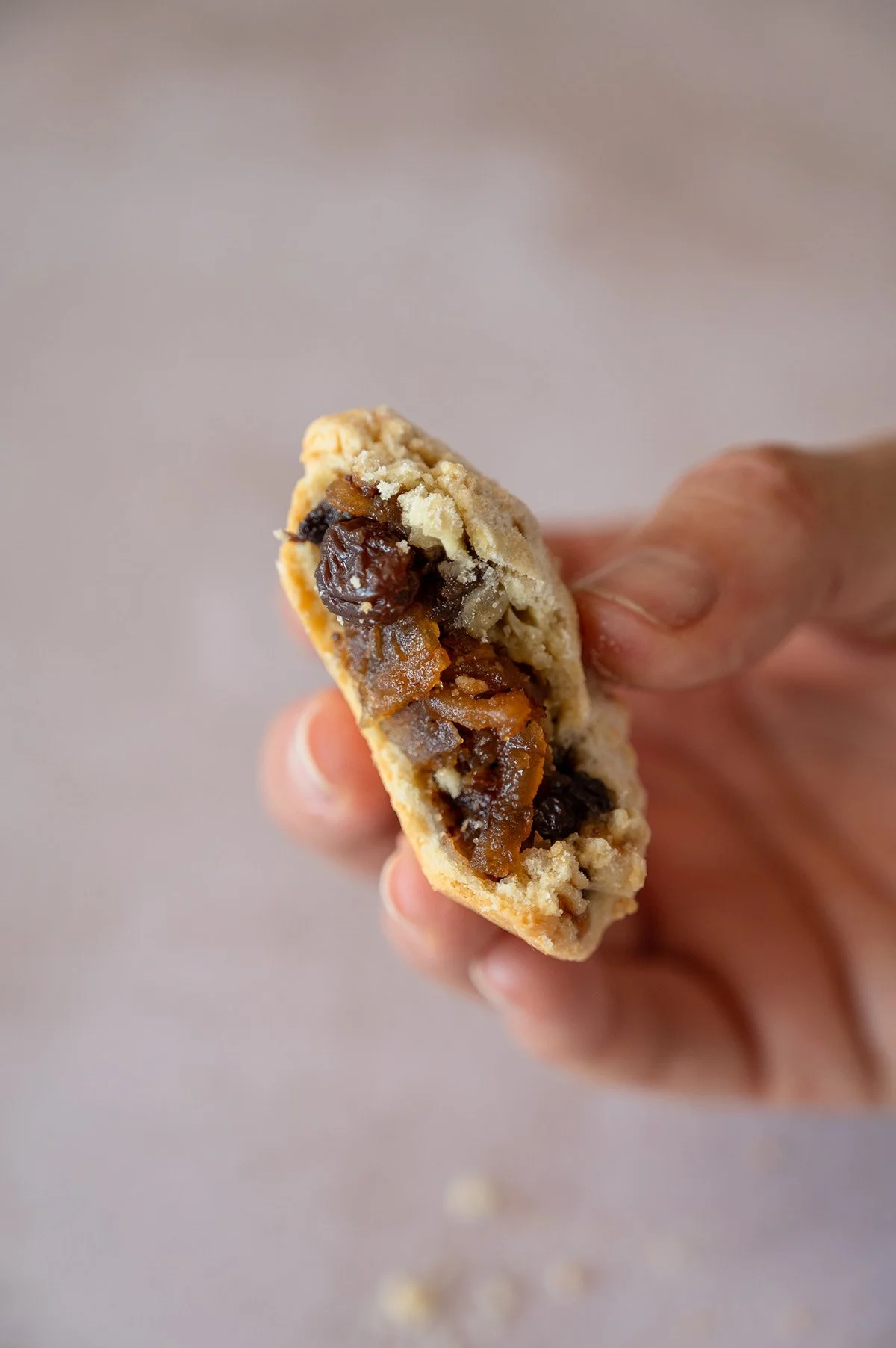 mince-pie-fruit-filling-closeup.jpg