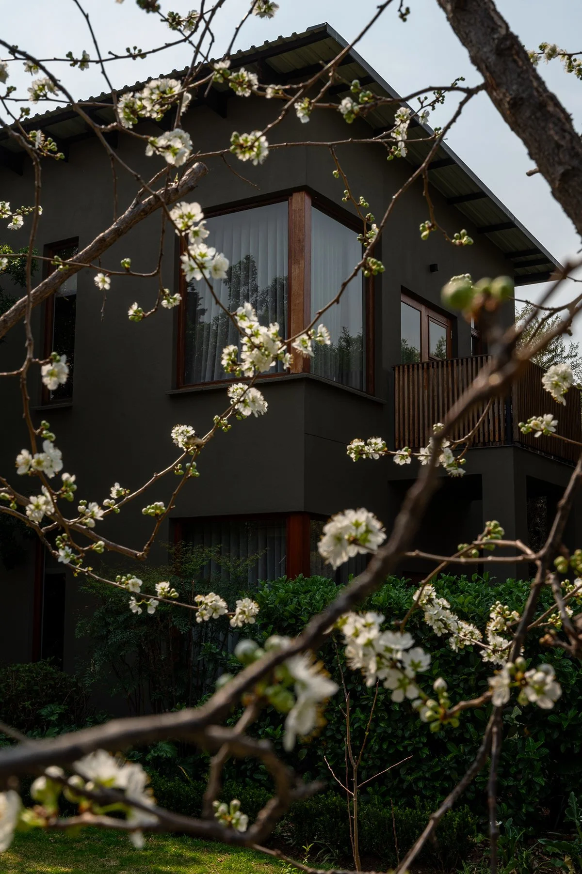modern-lodge-exterior-blossom-branches.jpg