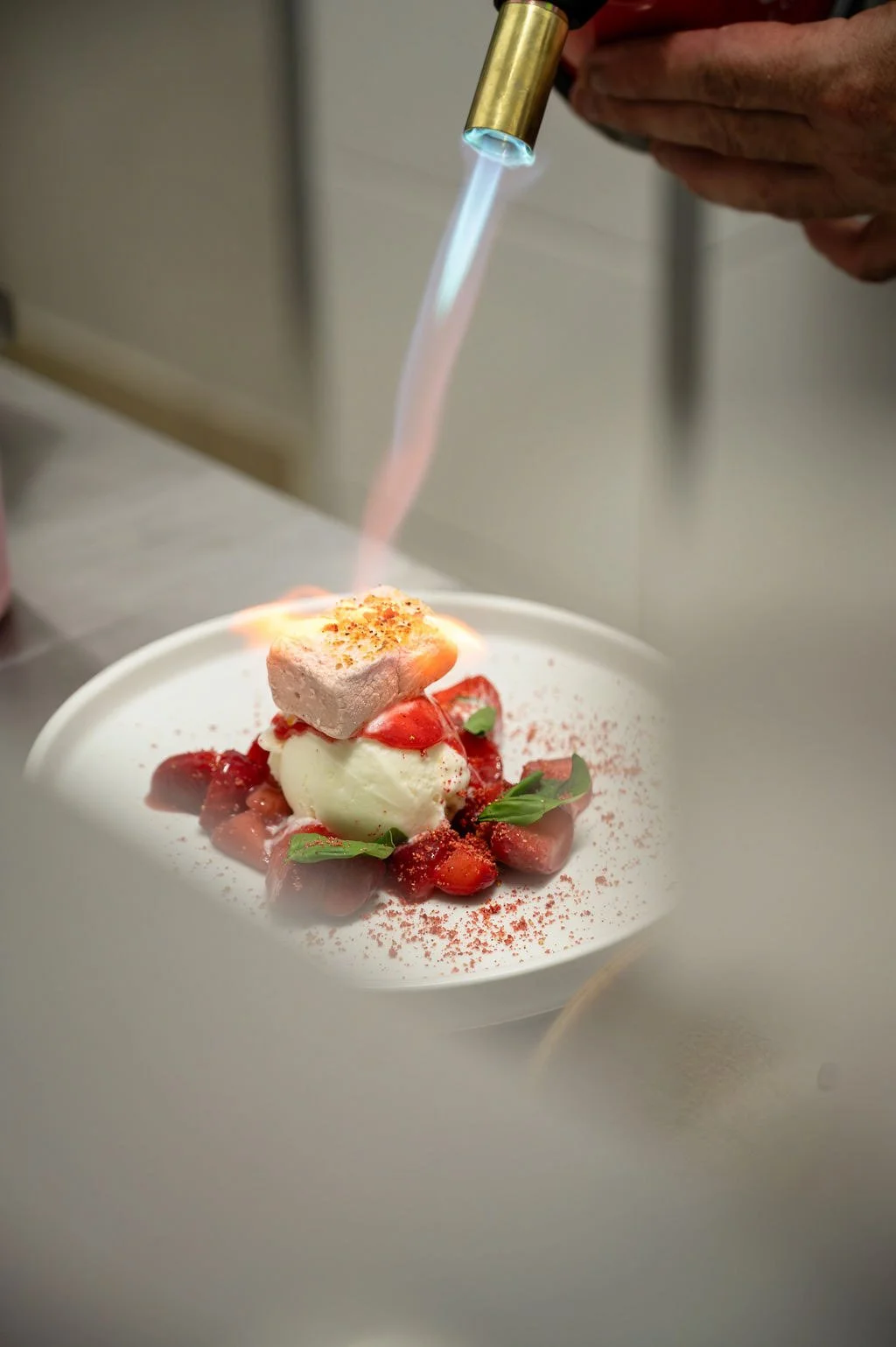 wilde-vy-chef-blowtorch-dessert-plating.jpg