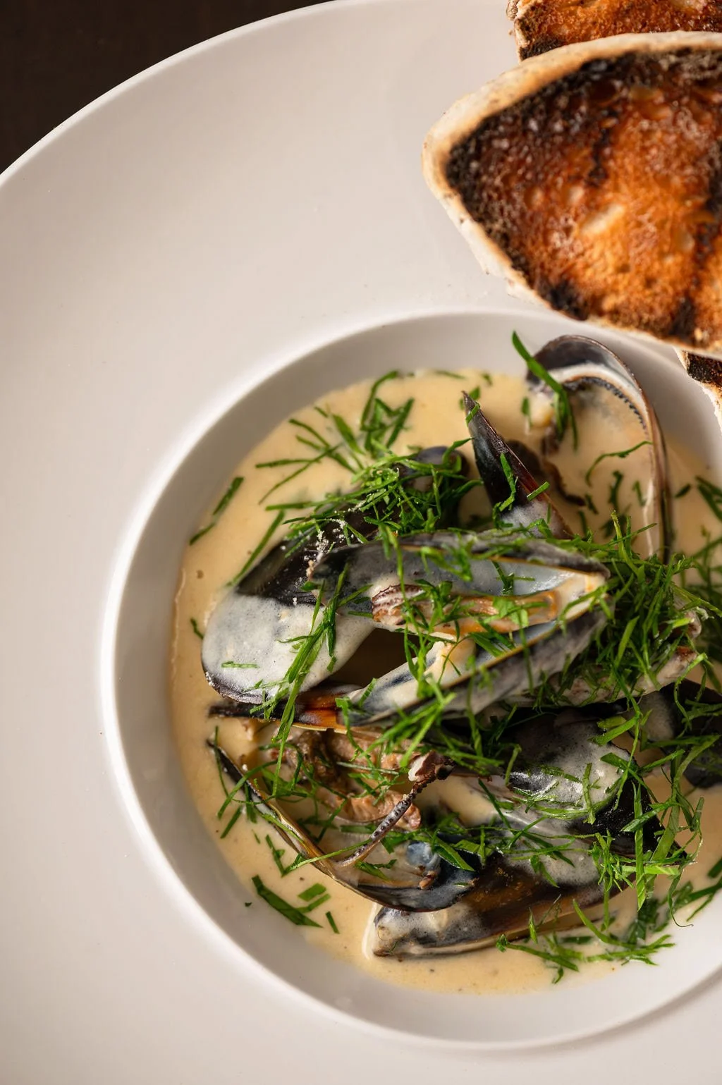 palm-house-hotel-mussels-cream-sauce.jpg