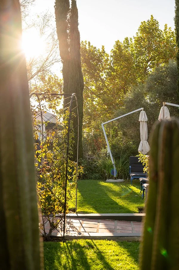 garden-pathway-sunlit-loungers-view.jpg