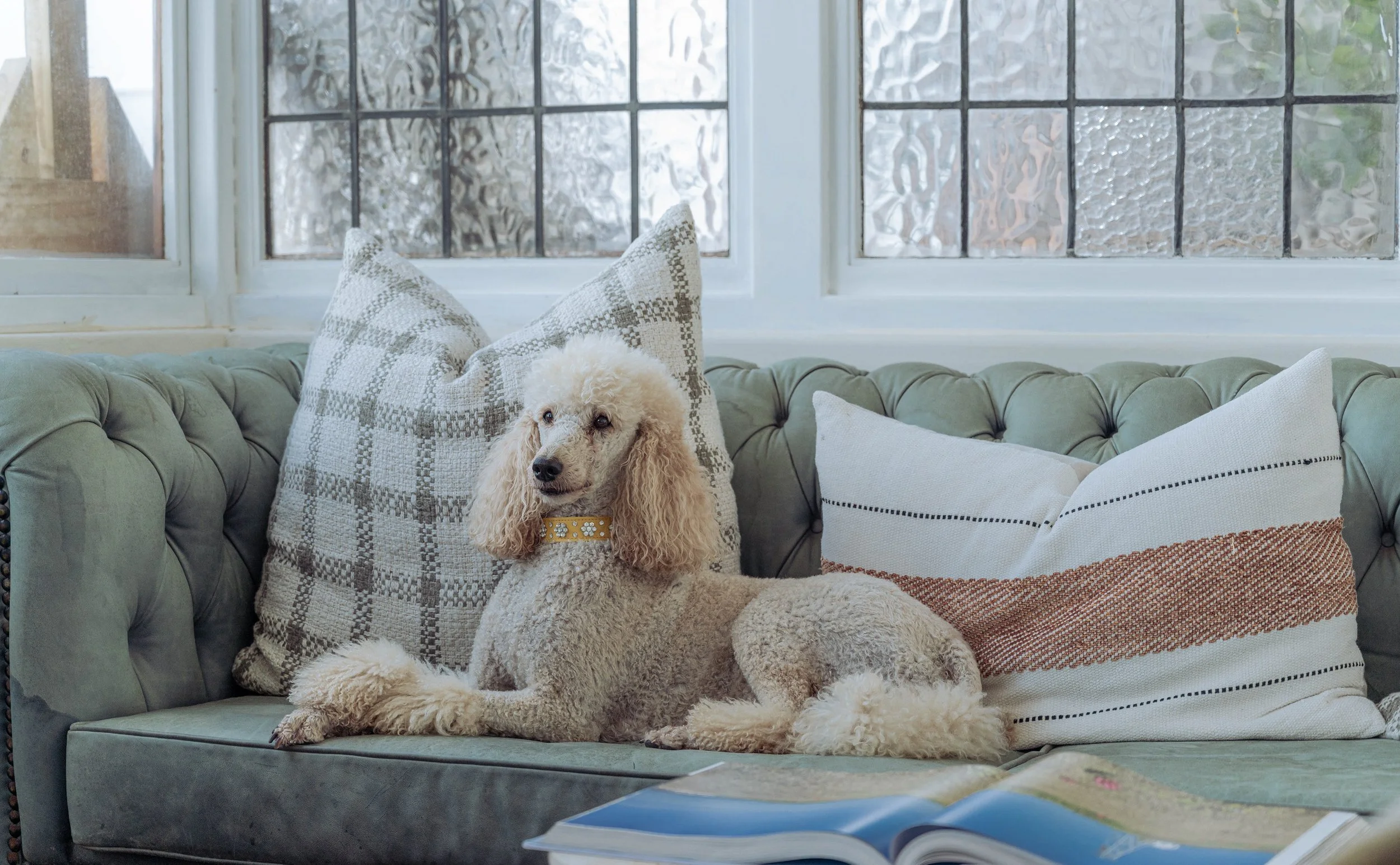poodle-lounge-sofa-boutique-hotel.jpg