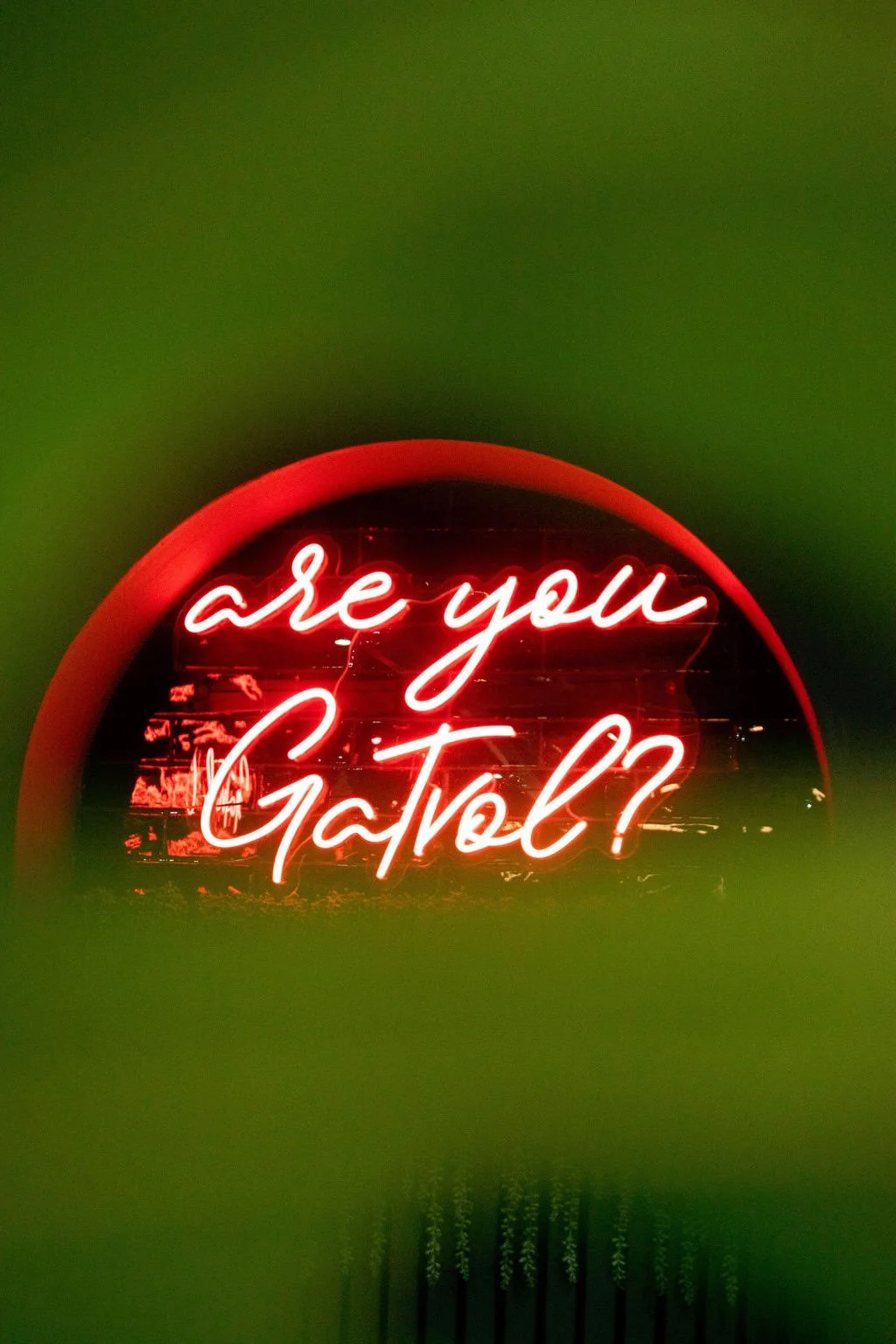 gatvol-cafe-durban-neon-sign.jpg