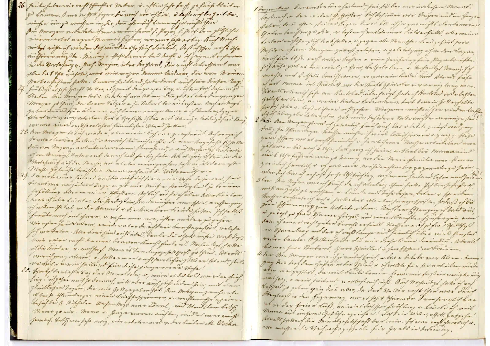 Pauline Escher's Diary