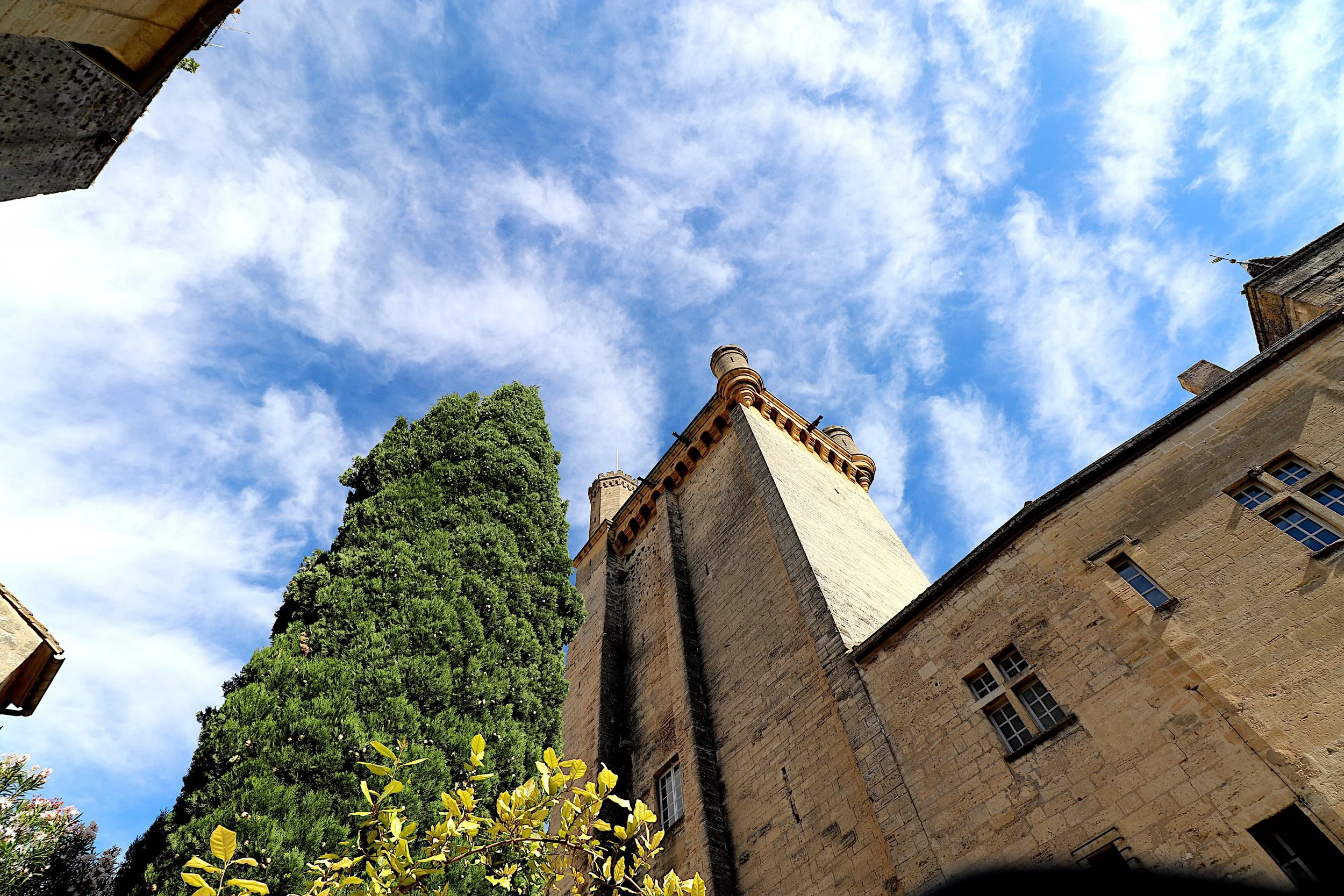 Une vue en contre-plongée d'un ciel bleu avec des nuages, entourée de vieux bâtiments en pierre avec des fenêtres, et un grand arbre vert.