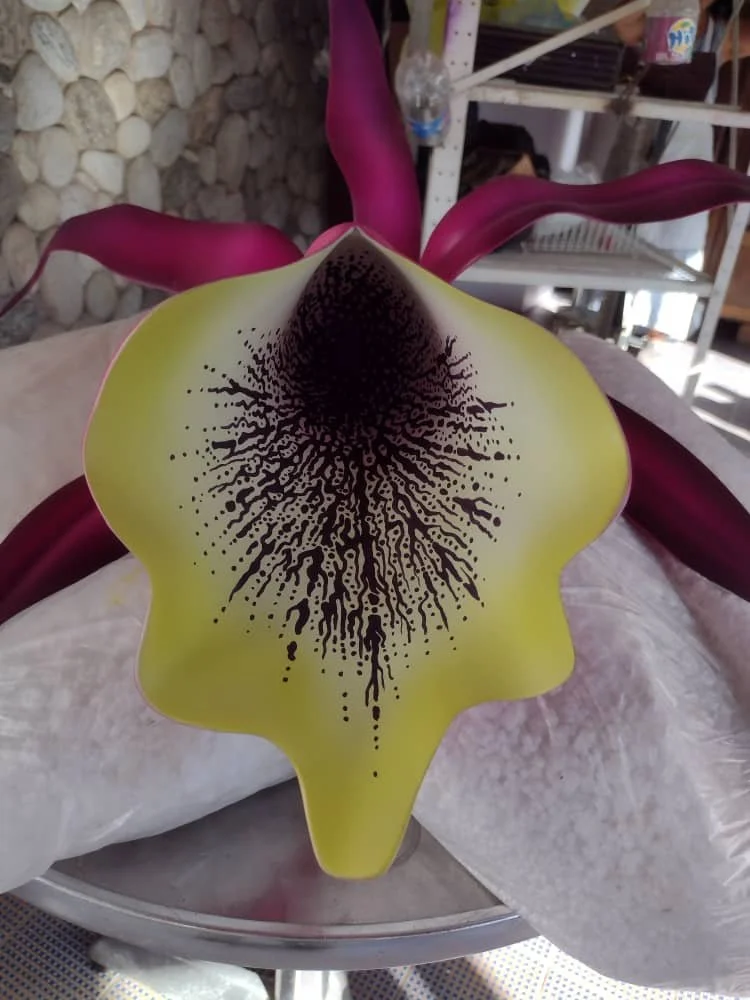Close-up of a Kissenkopf flower with yellow and purple petals and a dark, intricate central pattern.
