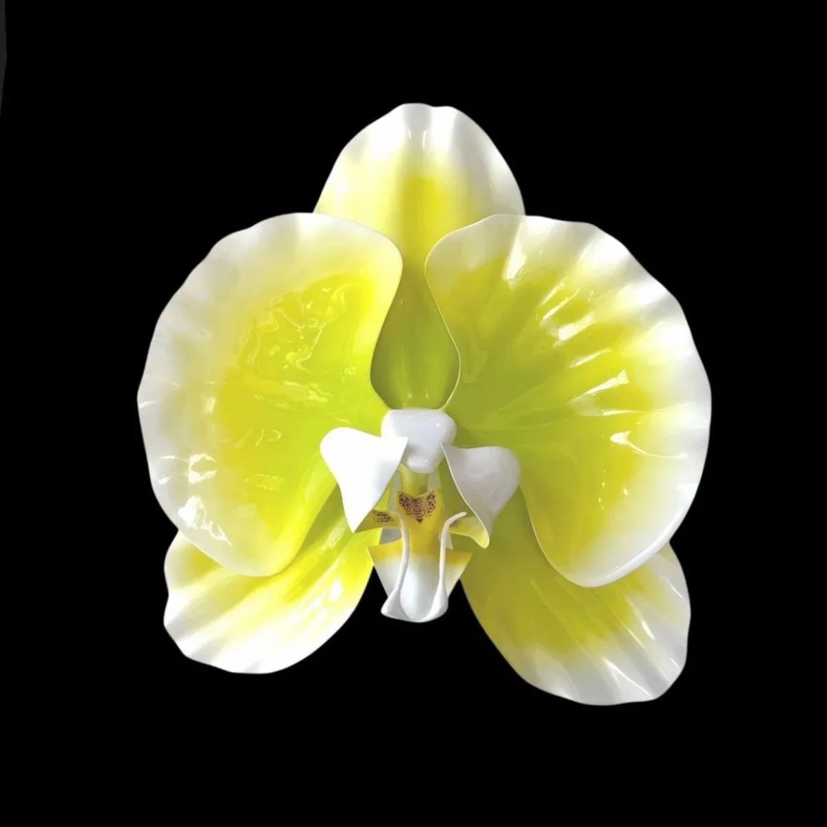Yellow and white orchid flower with petals spread open, set against a black background.