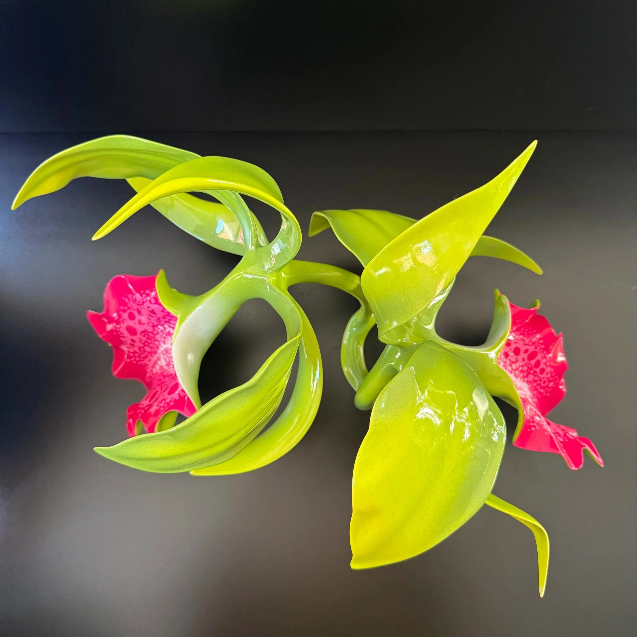 Close-up of a colorful, artificial plant with green leaves and vibrant pink flowers against a black background.