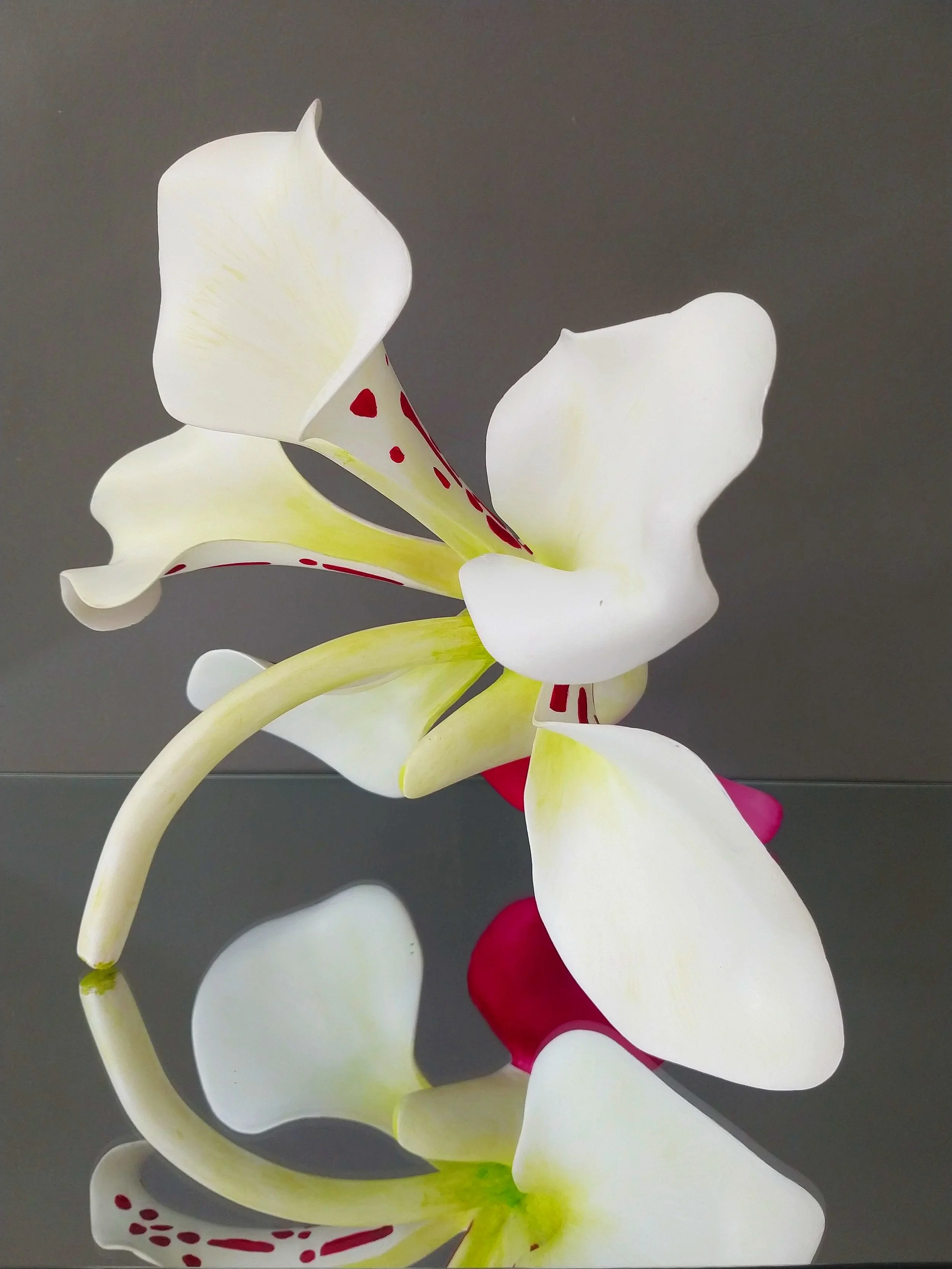 Close-up of a white orchid flower with touches of yellow and red spots on the petals against a dark background.
