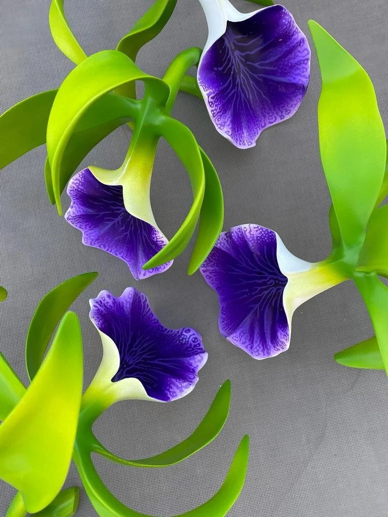 Close-up of three purple and white orchids with green leaves on a neutral background.