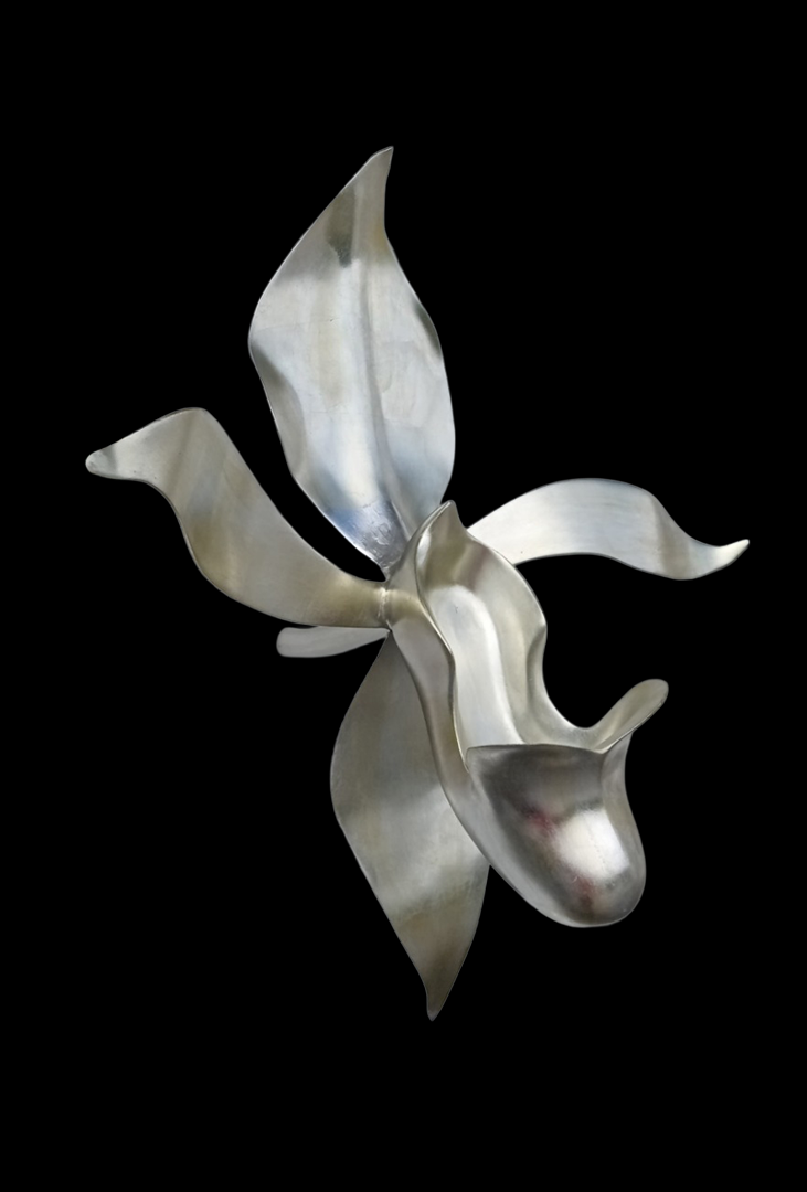 A metallic abstract sculpture resembling a flower or butterfly with curved, petal-like shapes on a black background.