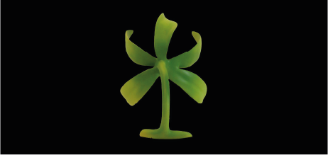 A green, cactus-like plant with multiple arms and a trunk on a black background.