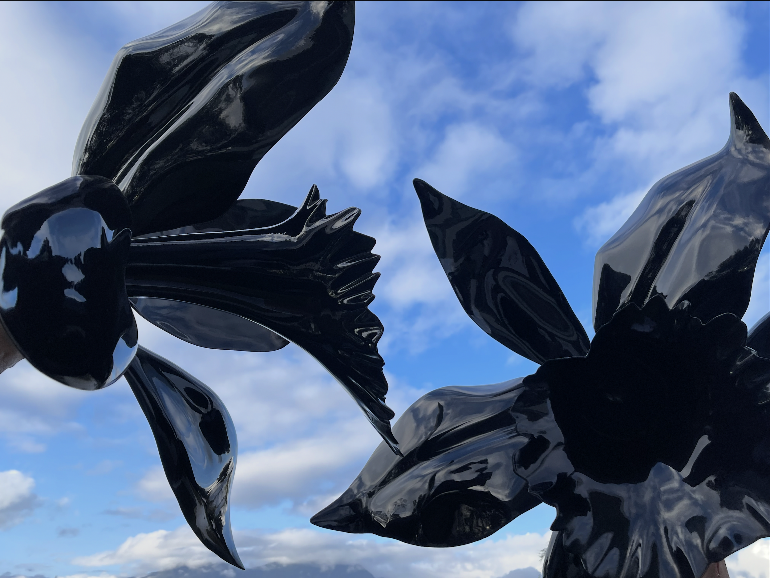 Close-up of black shiny abstract metal sculpture against a blue sky with some clouds.