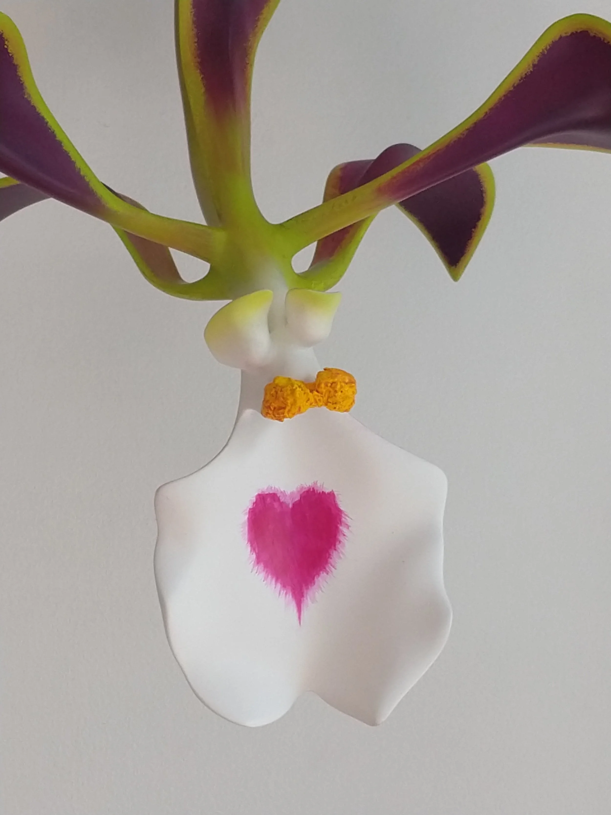 A paper cutout of a human belly with a pink heart at the center, and a flower positioned behind the cutout, with purple and yellow petals and yellow centers.