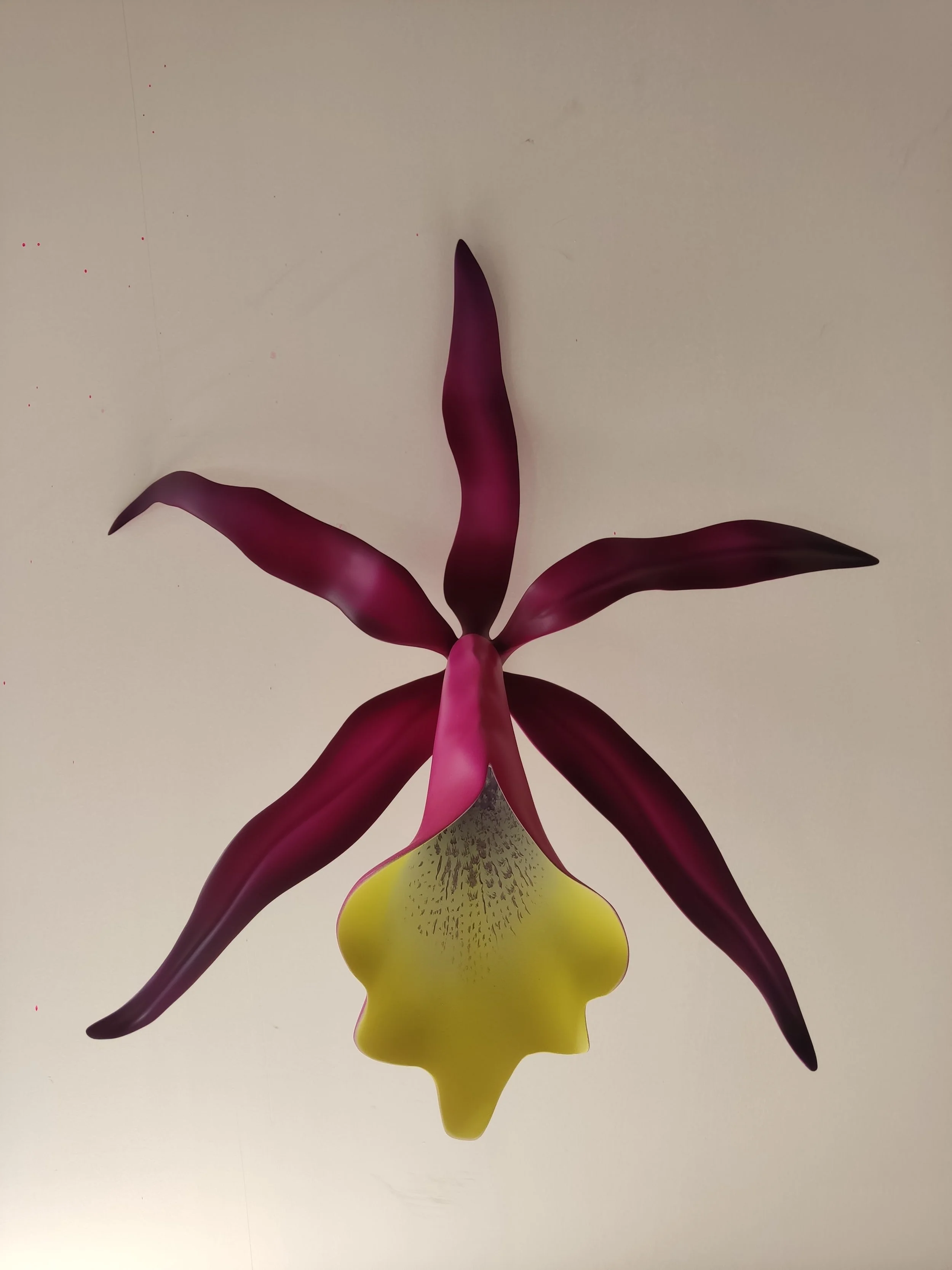 A large, detailed illustration of a blooming orchid flower with pink and yellow petals, hanging upside down against a plain white background.