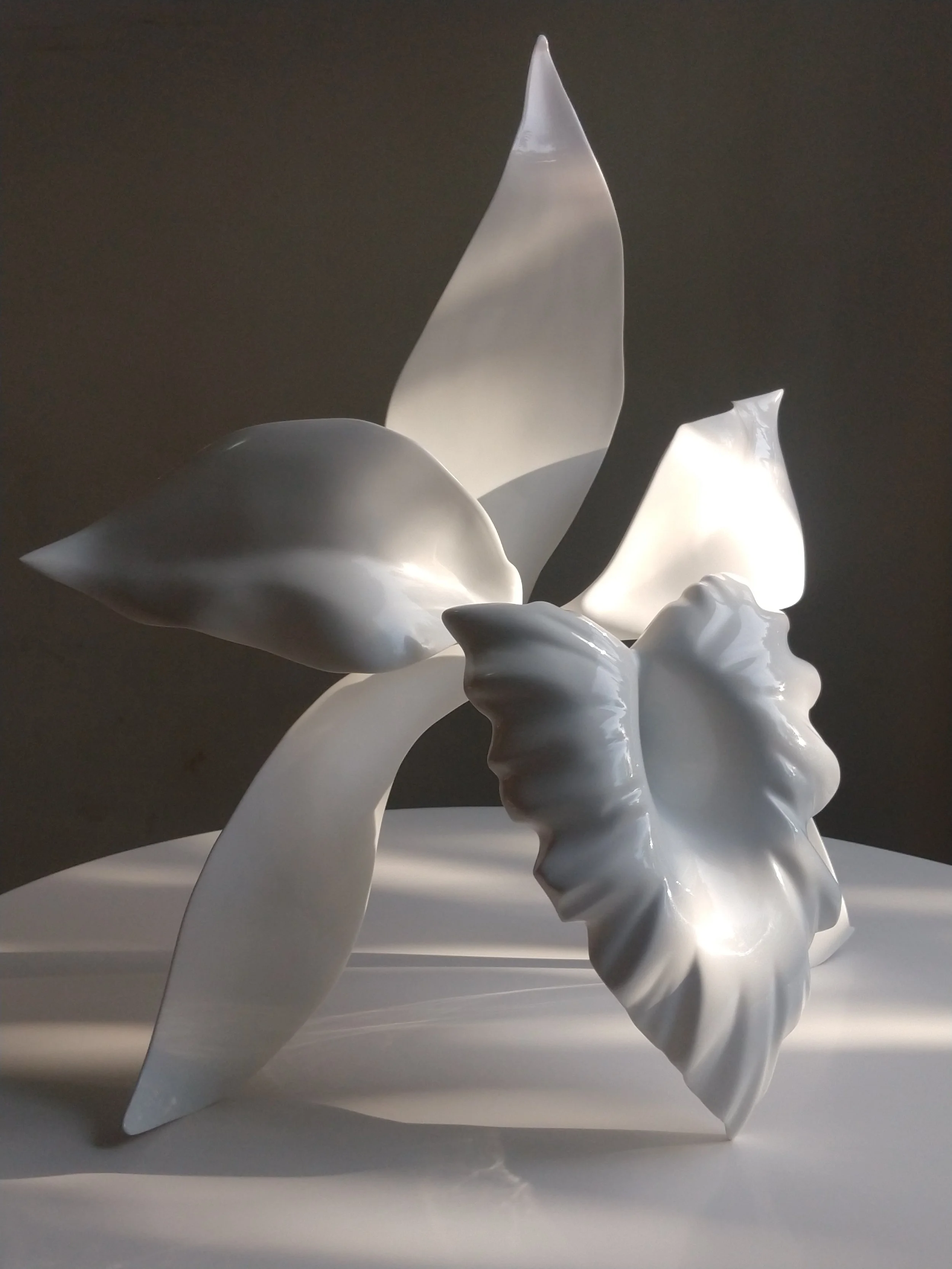 White abstract sculpture with smooth, flowing shapes and pointed, leaf-like elements, illuminated against a dark background.
