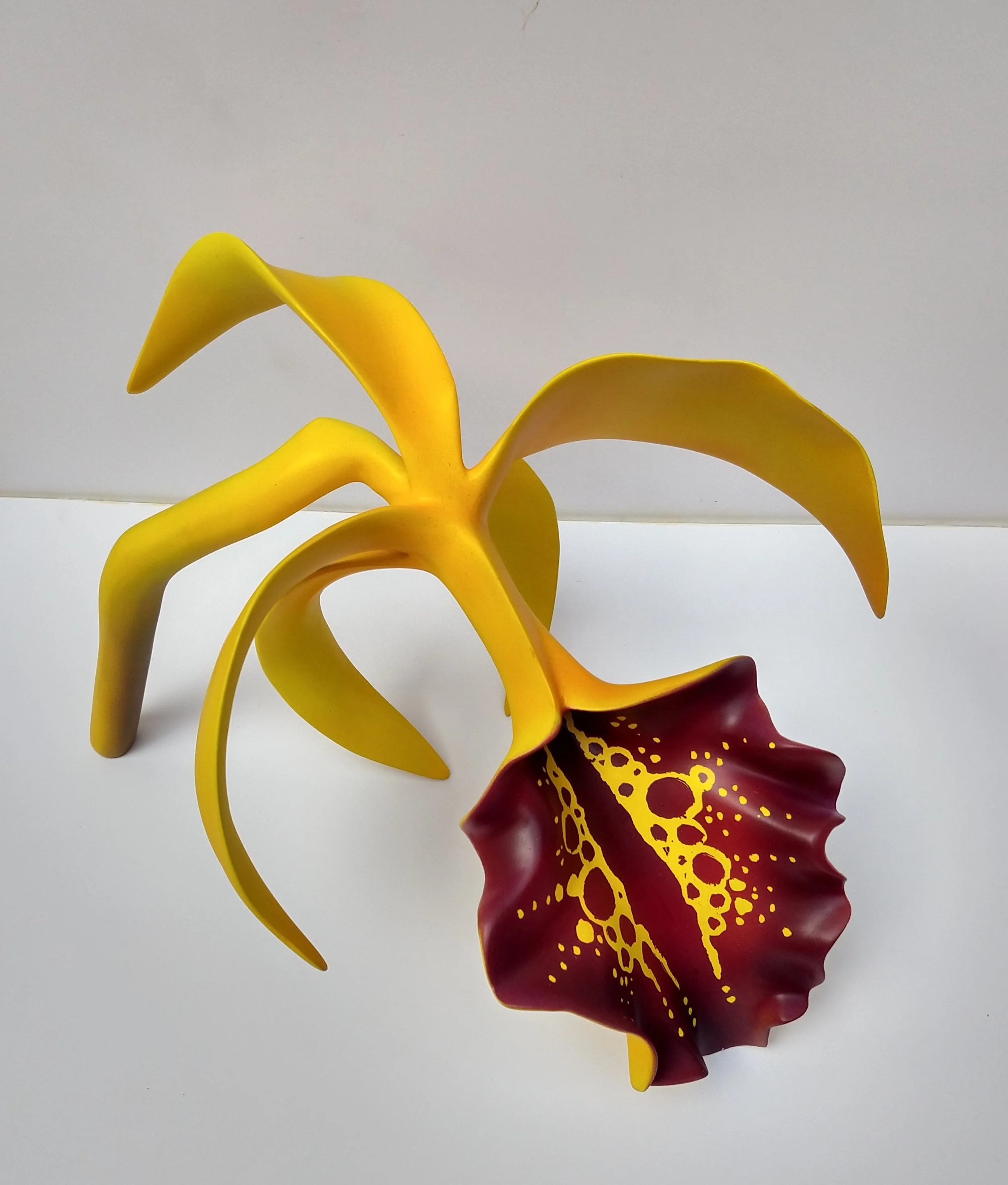 A yellow and burgundy orchid flower with intricate yellow patterns on the petals, against a plain white background.