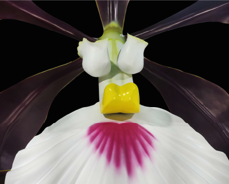 Close-up of a detailed artificial flower with dark purple petals, white elements, a yellow center, and a pink-streaked white base.