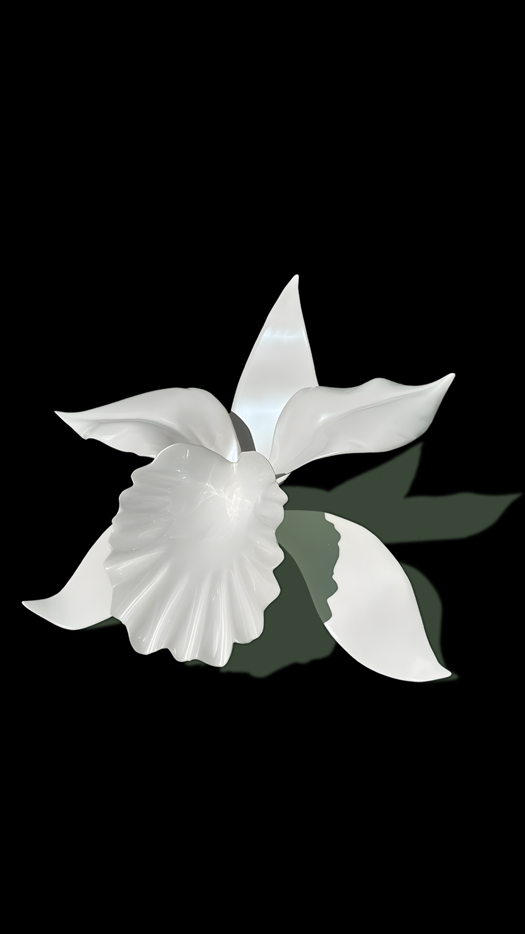 A white, sculptural flower with pointed petals and a ruffled base cast against a black background, with a shadow and green leaves reflected underneath.