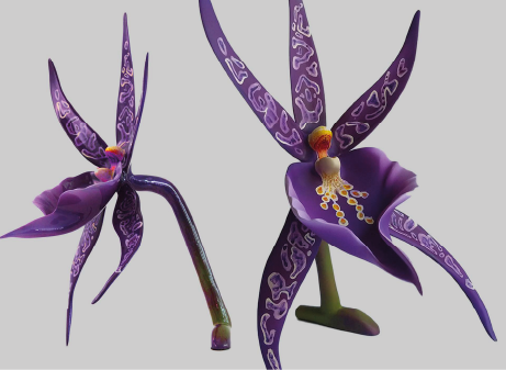 Two purple orchids with intricate patterns on the petals and prominent yellow and red centers.