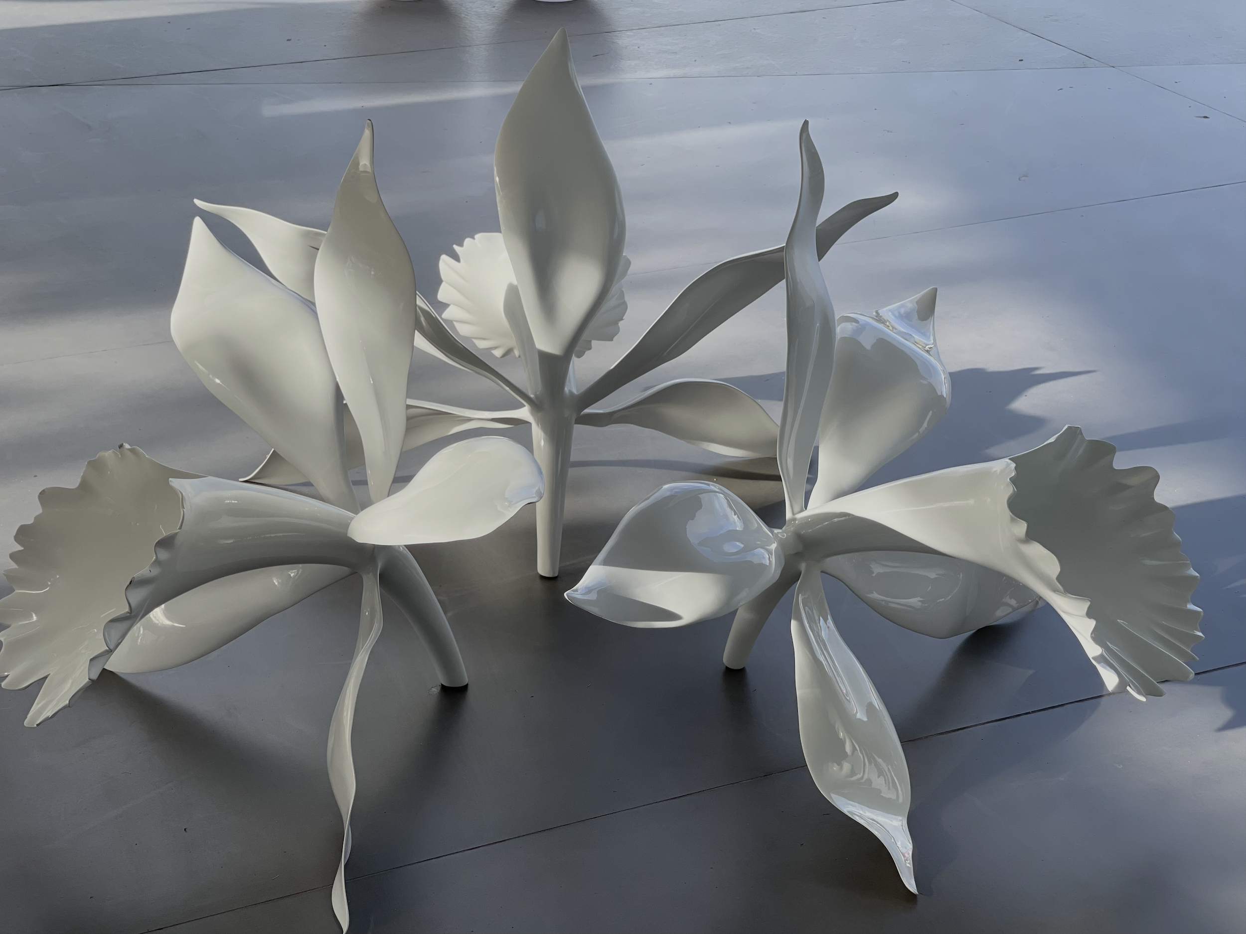 White ceramic sculpture resembling blossoming flowers with elongated petals and smooth surfaces, placed on a dark floor with a plain, light-colored background.