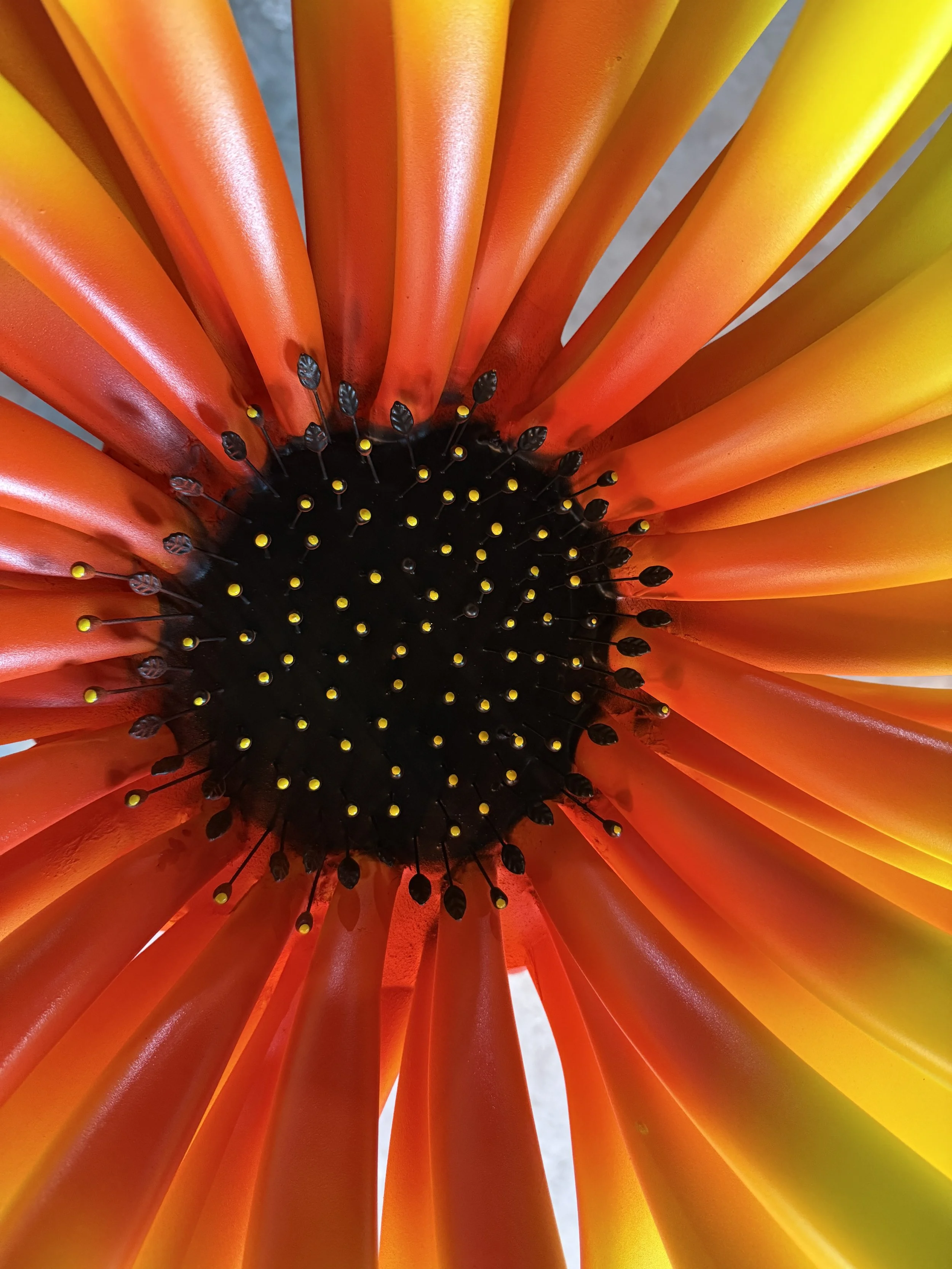 Close-up view from the bottom of a bouquet of colorful orange, yellow, and red flowers, showing the black centers with yellow tips.