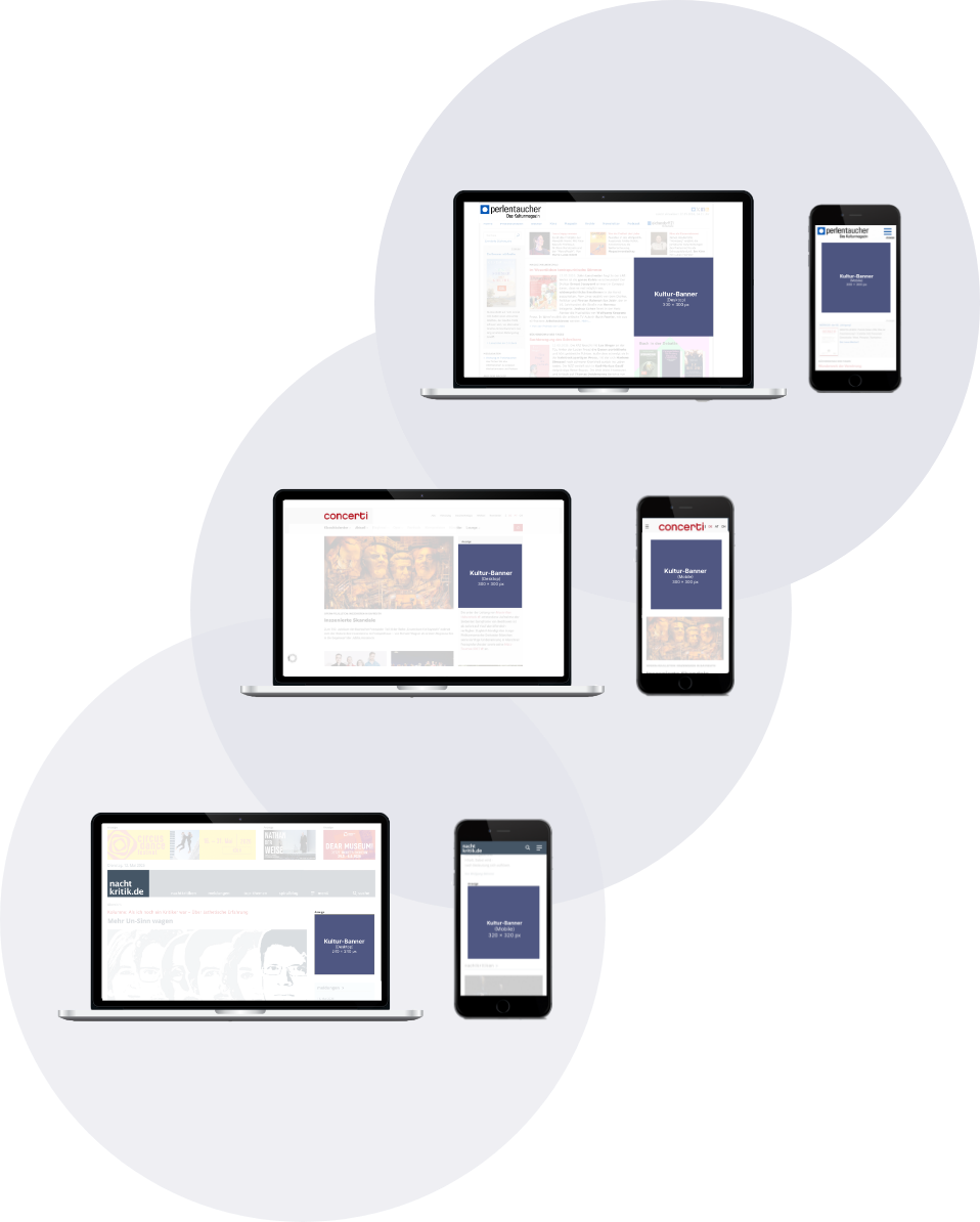 Info-Grafik, die Werbeformen auf verschiedenen Websites zeigt.