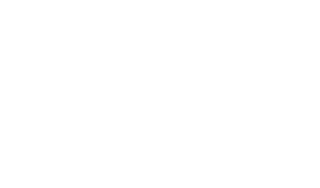 logo-nicks.png