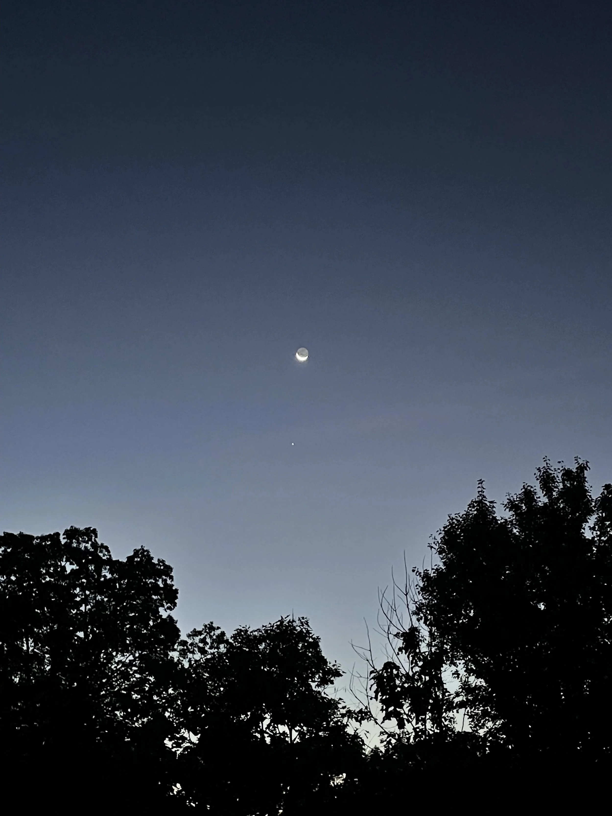 IMG_5484.jpeg