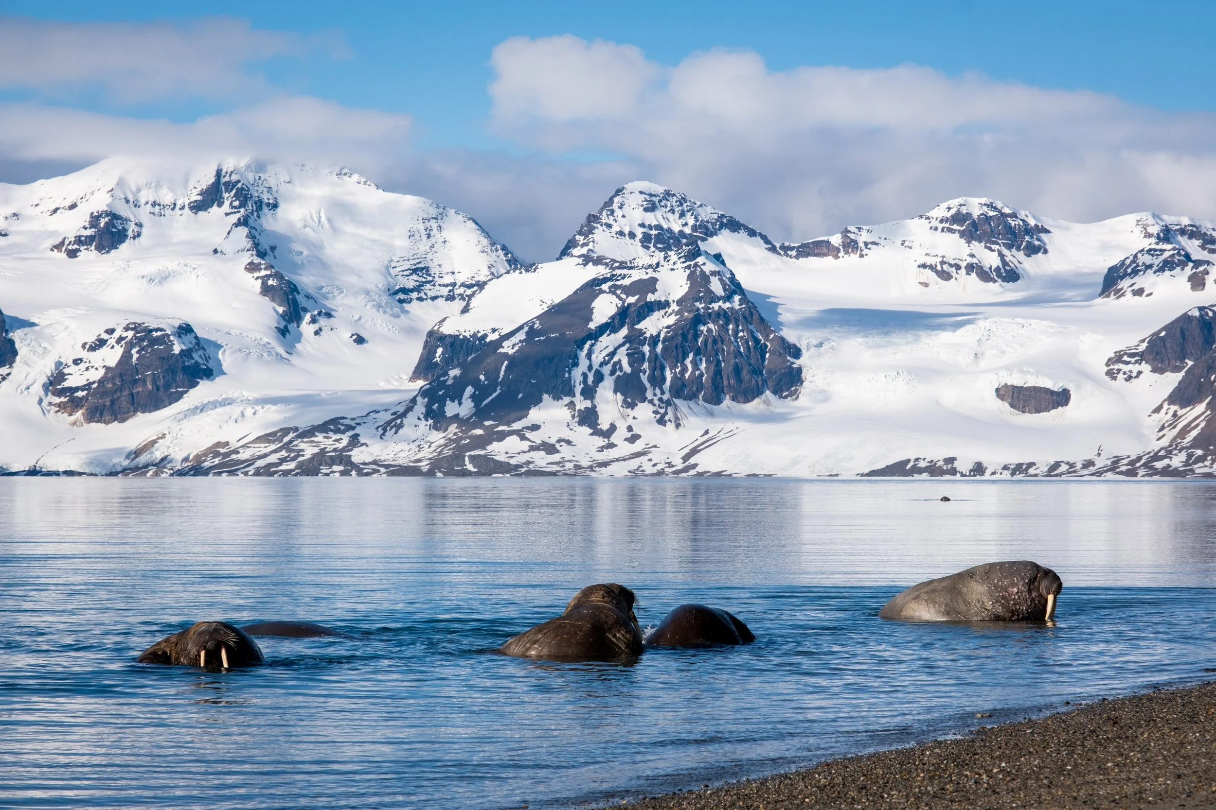 AlongTheIceEdge-42.jpg