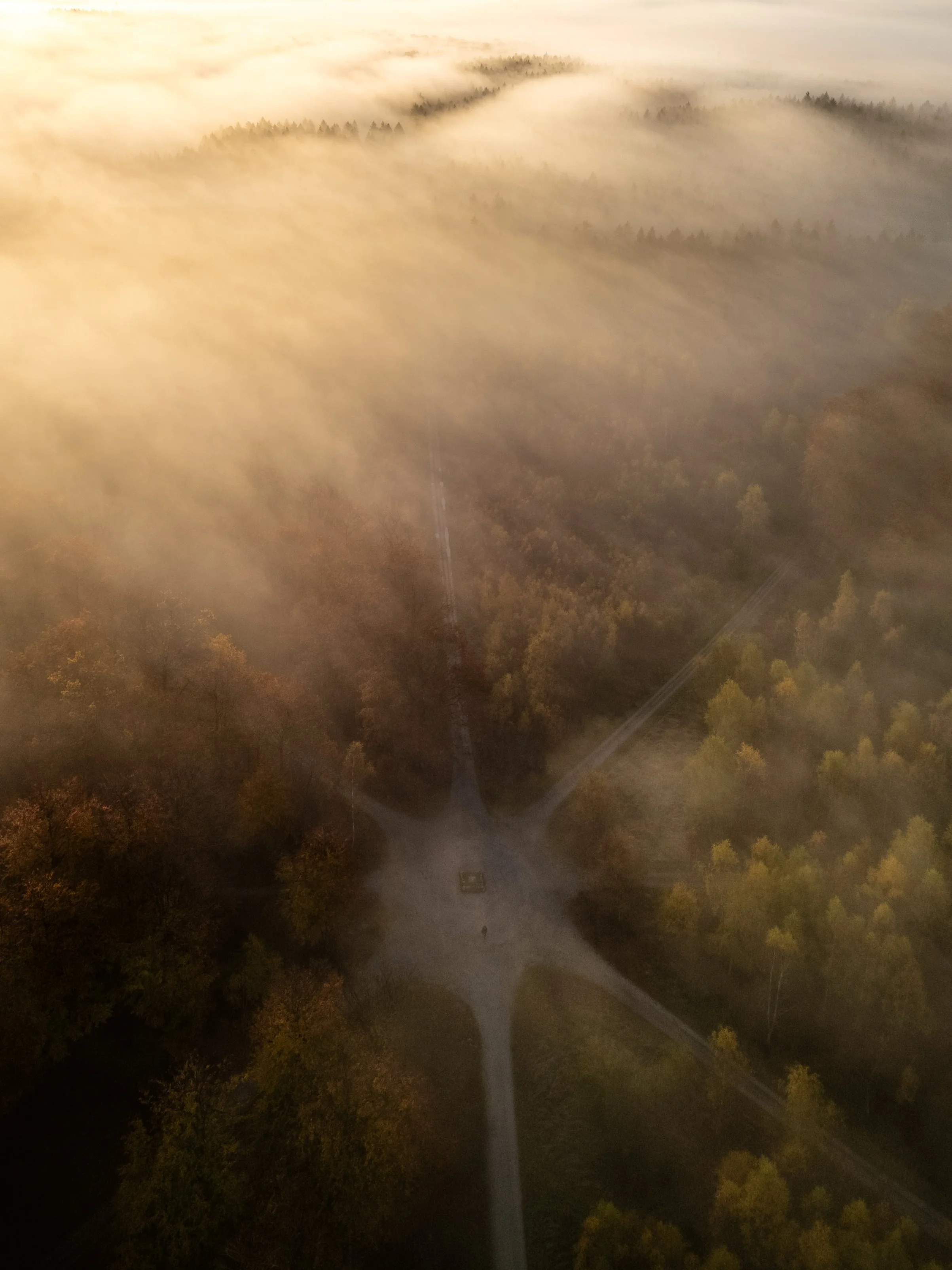 Atmosfærisk efterårsmorgen i Store Dyrehave. Parforcelandskab. Dronefoto