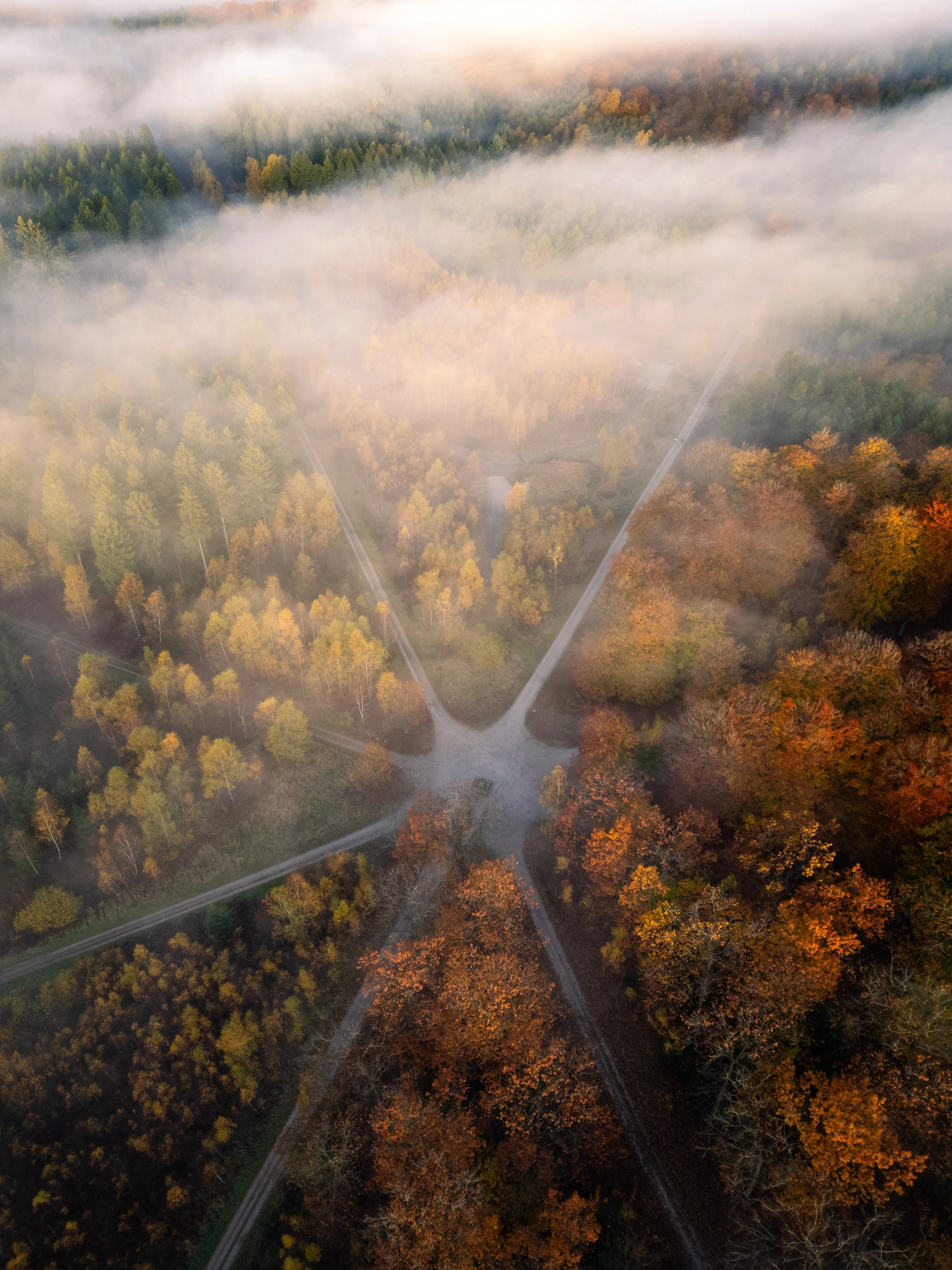 Atmosfærisk efterårsmorgen i Store Dyrehave. Parforcelandskab. Dronefoto.